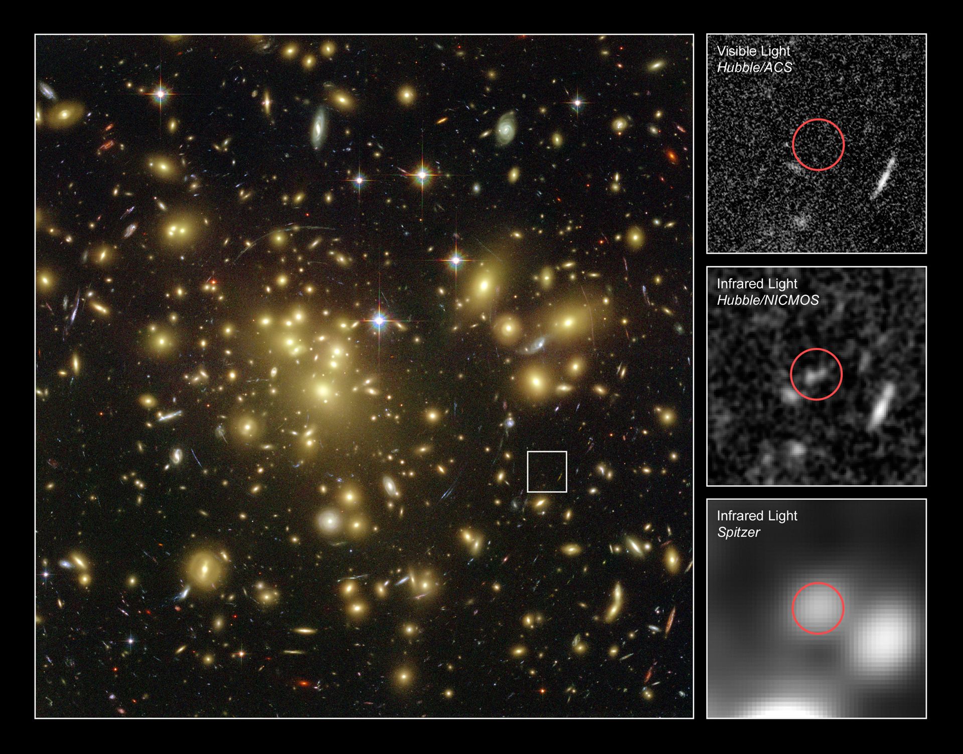 Hubble Uncovers One of the Youngest and Brightest Galaxies in the Early Universe