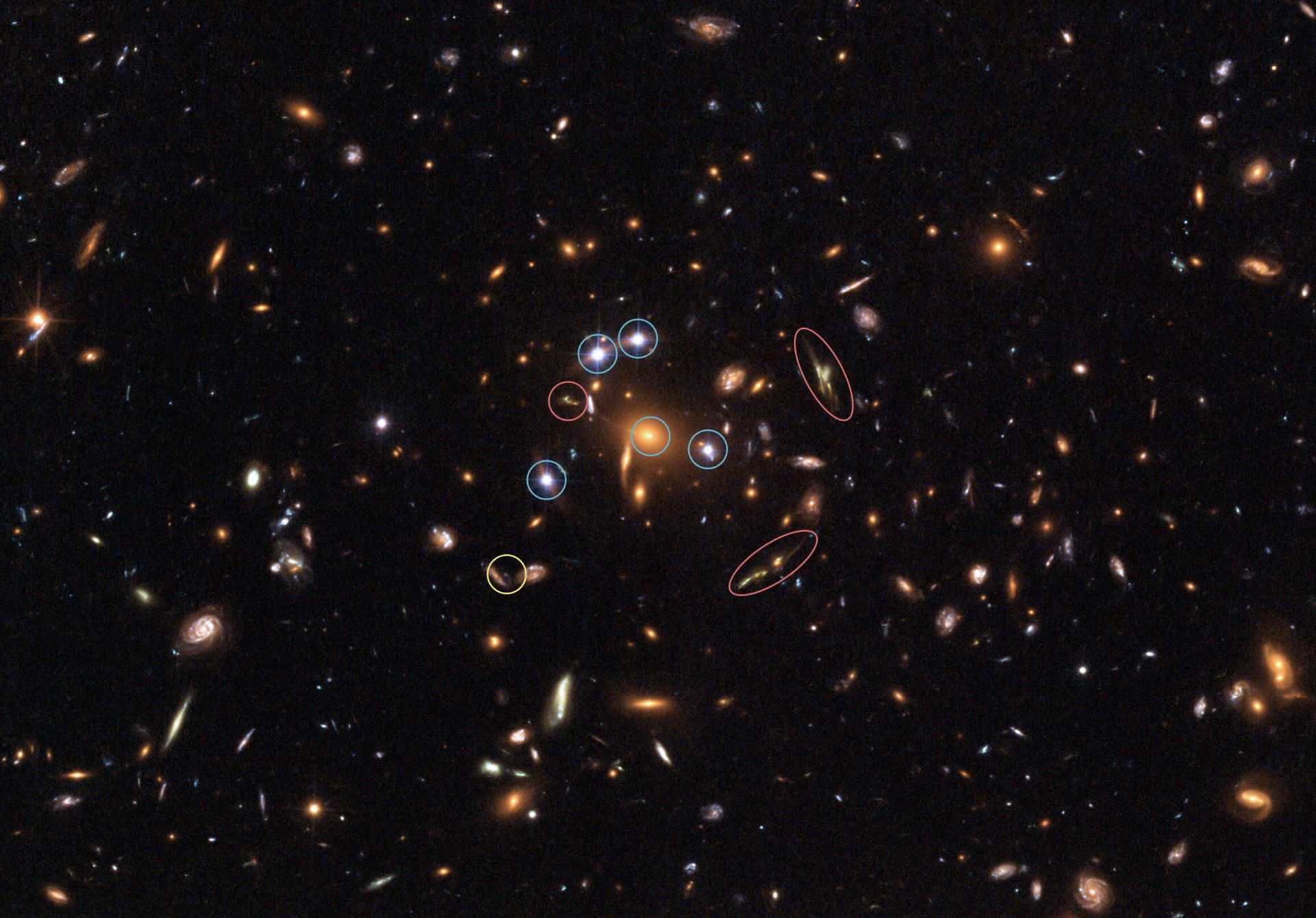 Hubble captures a five-star rated gravitational lens