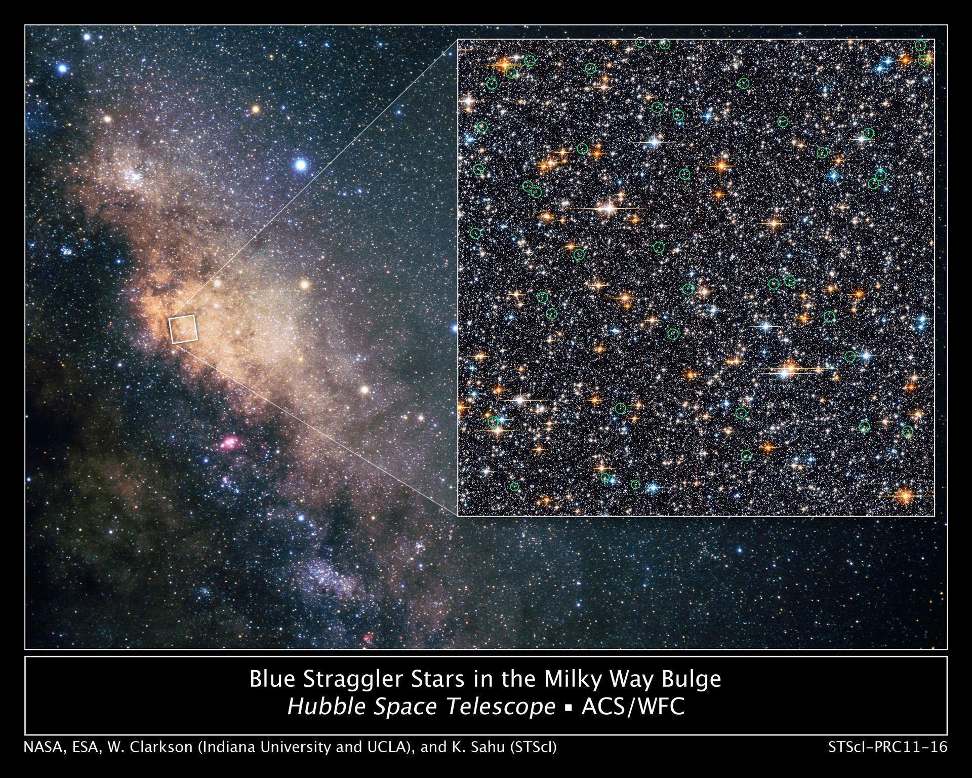 Hubble finds blue straggler stars in the galactic bulge