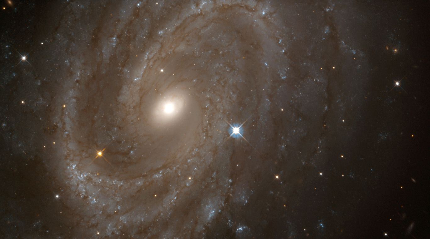 Hubble finds variable stars in distant spiral galaxy