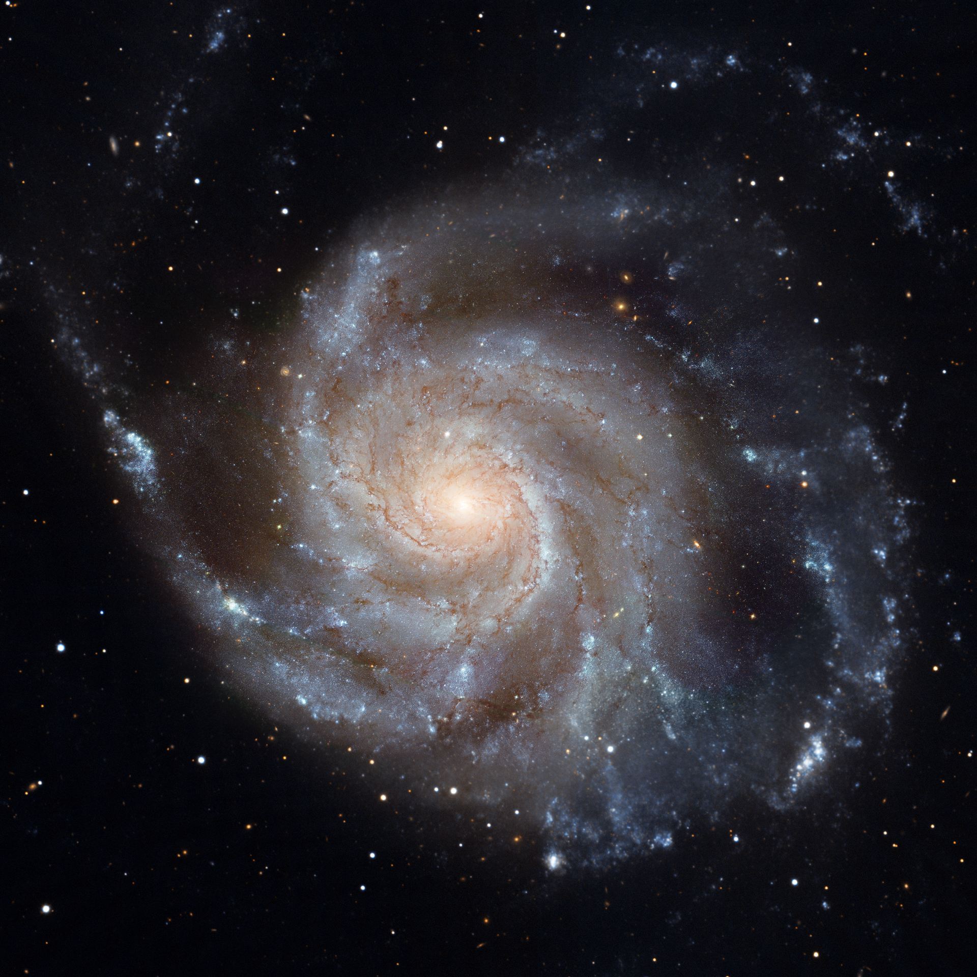 Hubble image of M101