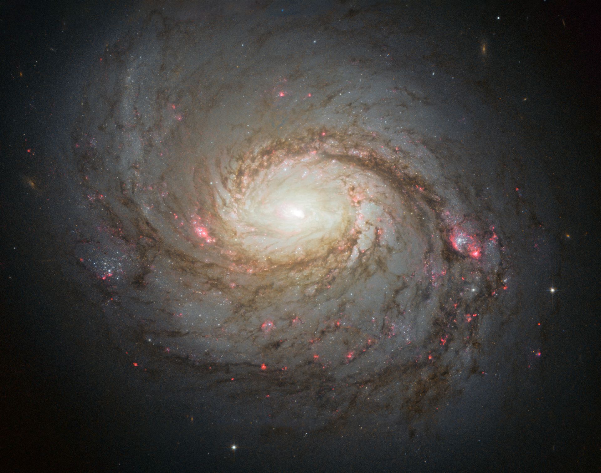 Hubble image of Messier 77