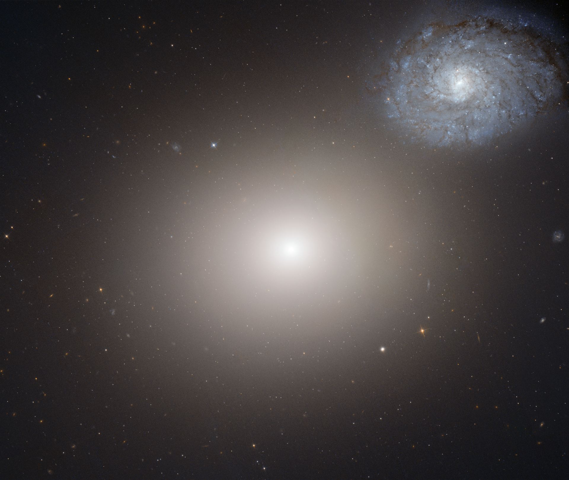 Hubble image of galaxy pair Arp 116