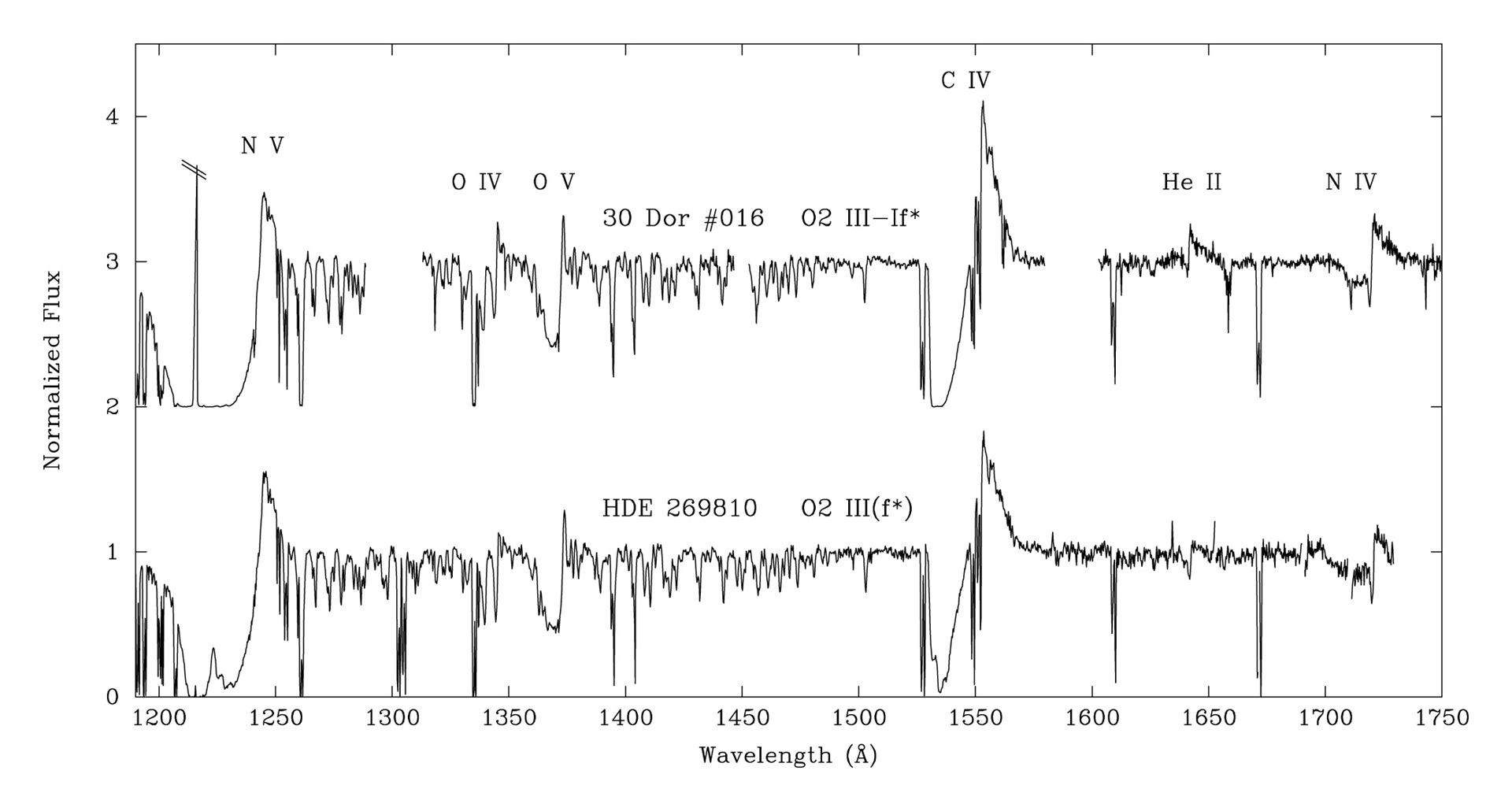 Hubble observations of massive stars in the Large Magellanic Cloud