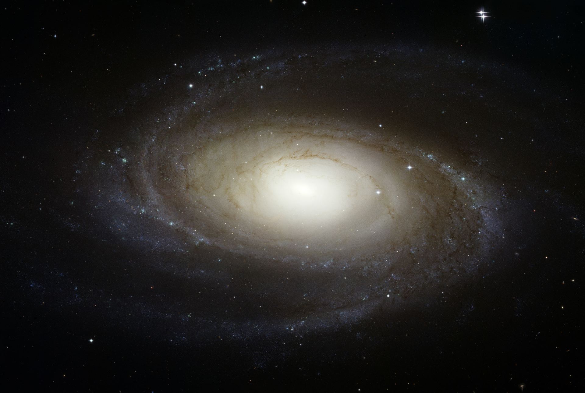Hubble photographs grand design spiral galaxy M81