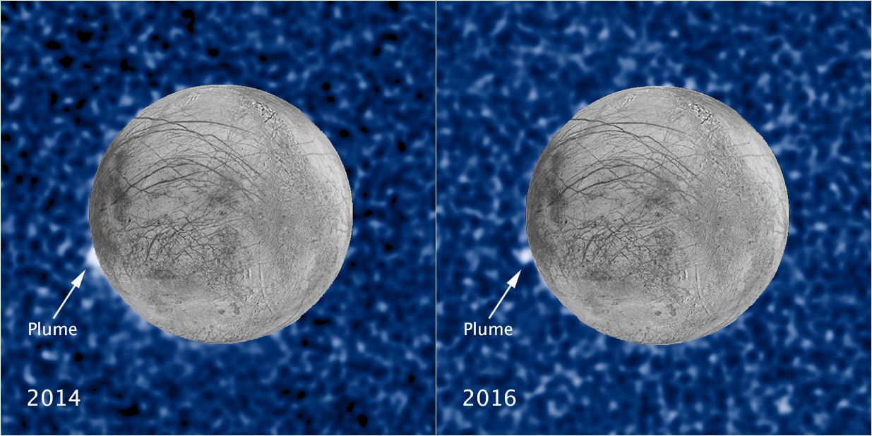 Hubble sees recurring plume erupting from Europa