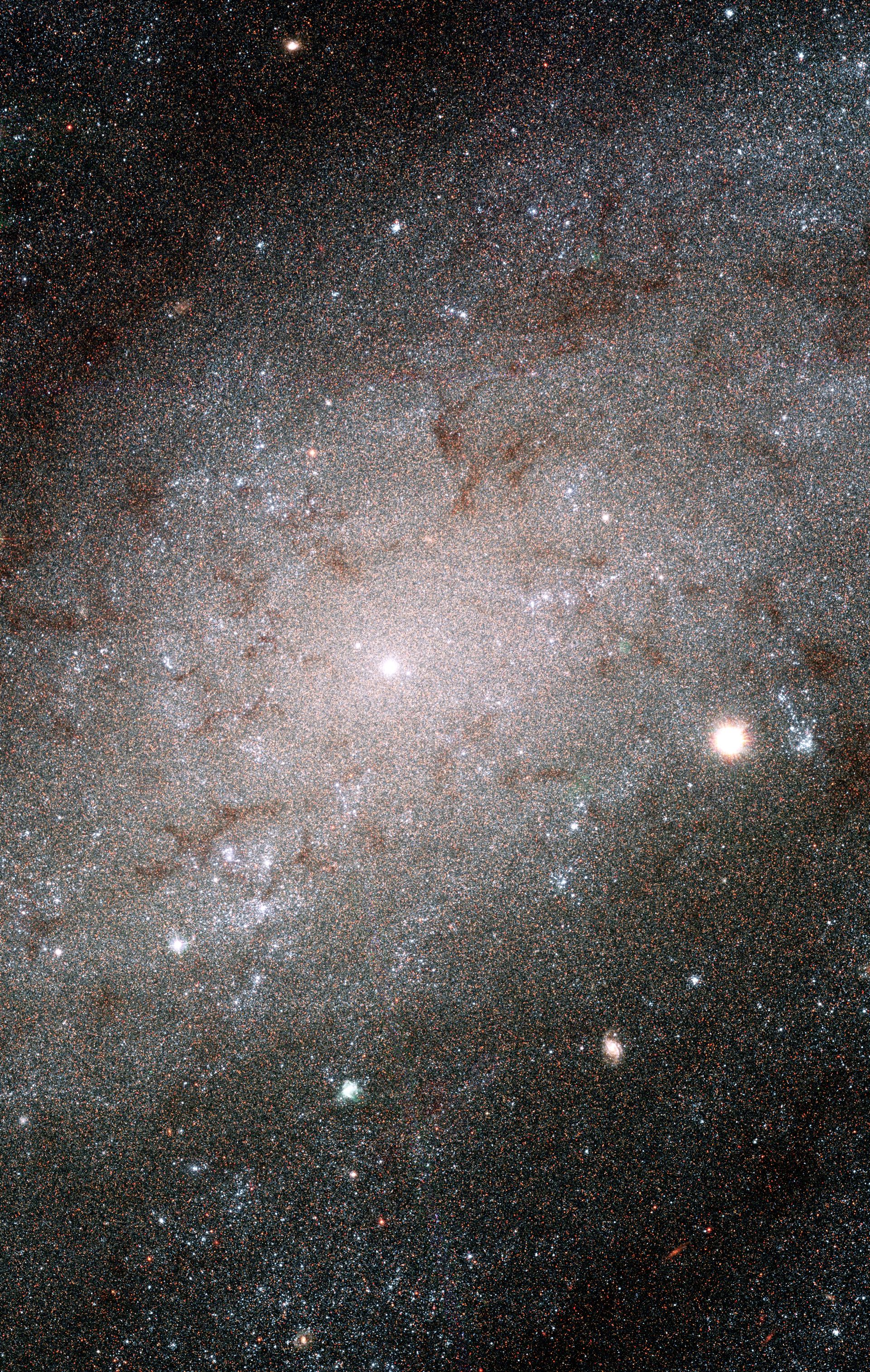 Hubble sees stars as numerous as grains of sand in nearby galaxy