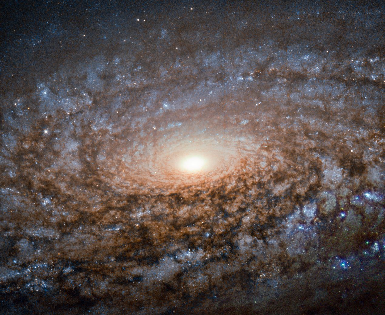 Hubble shears a woolly galaxy