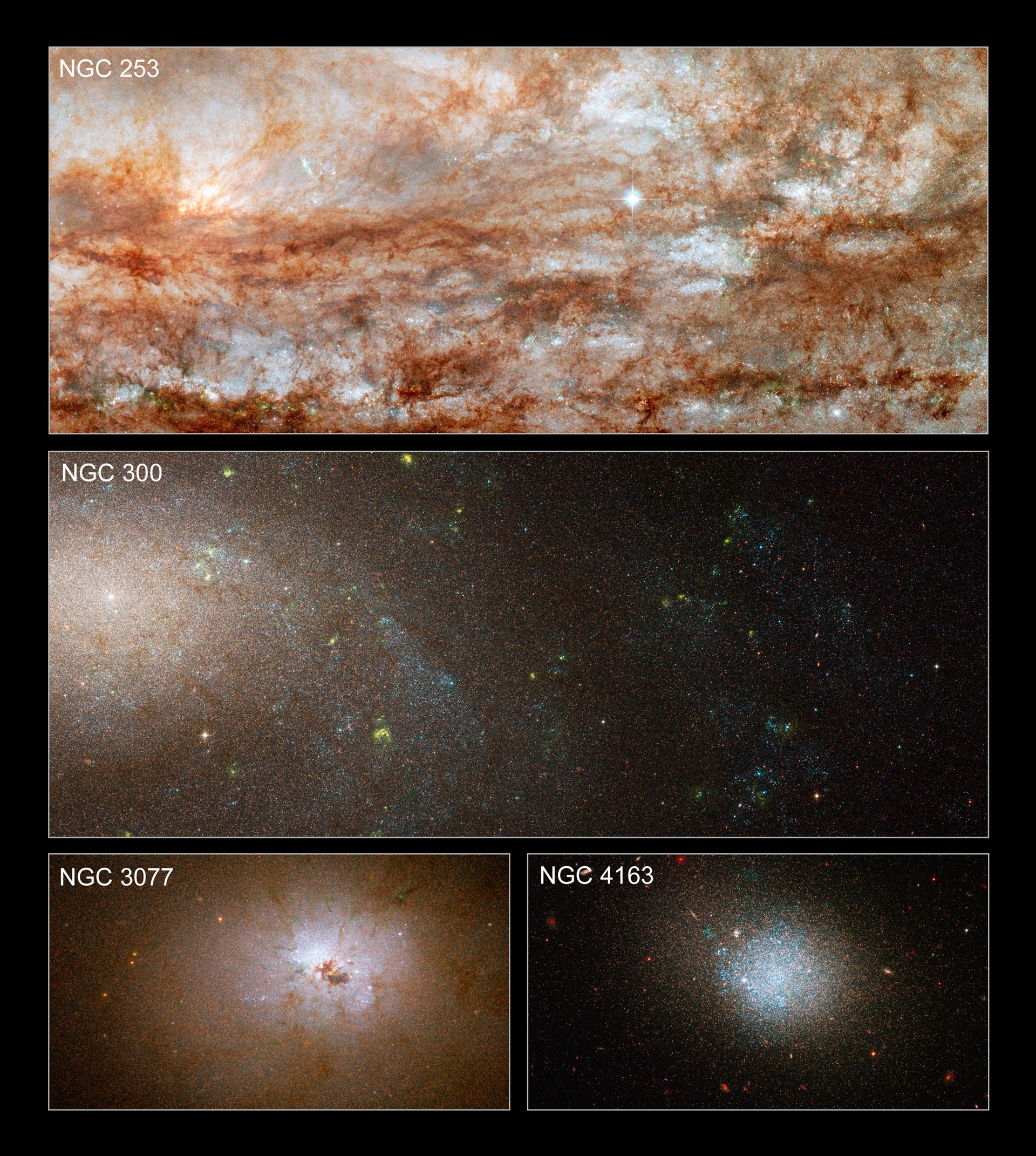 Hubble snaps close-up views of diverse galaxies