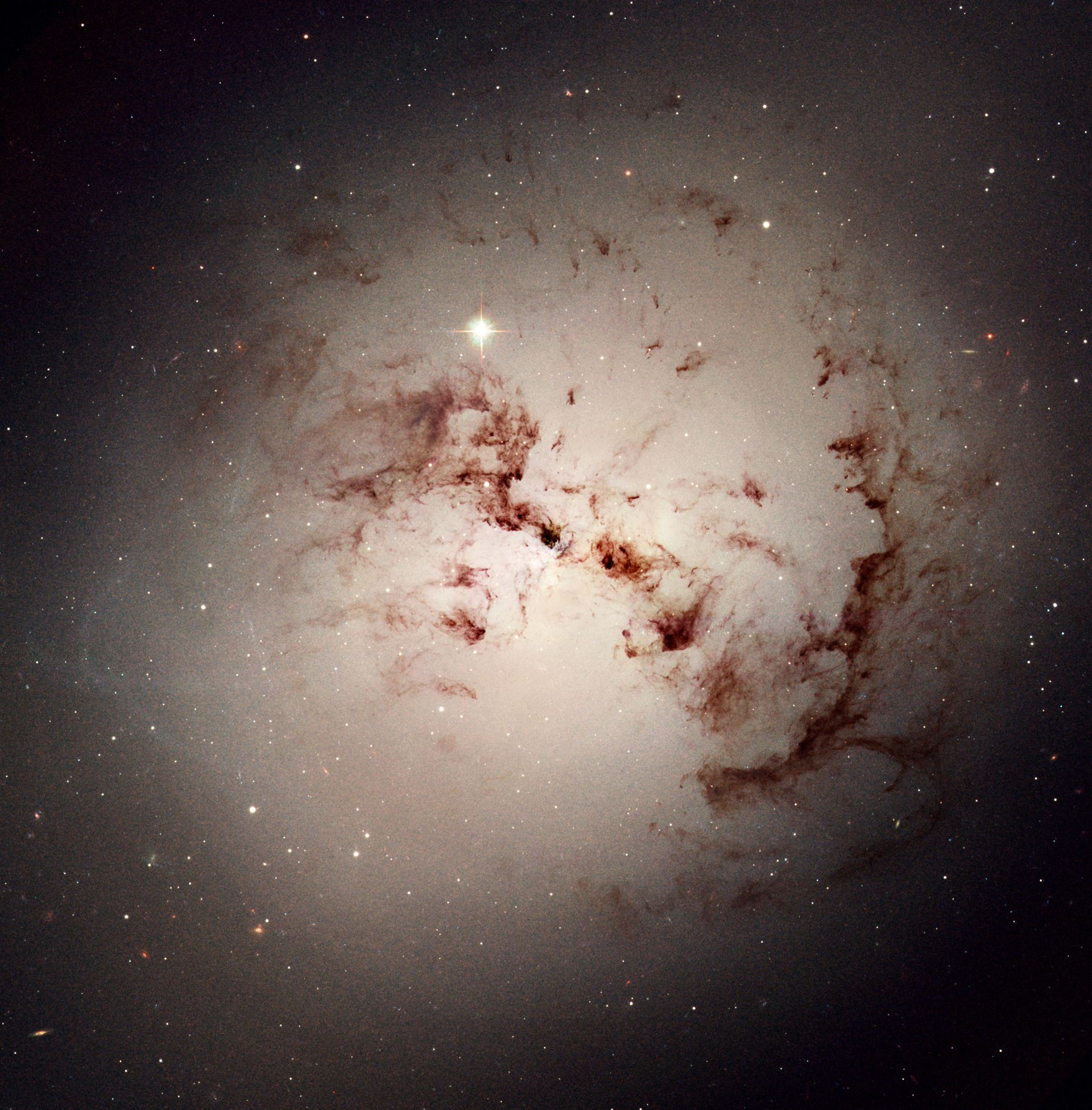 Hubble spies cosmic dust bunnies