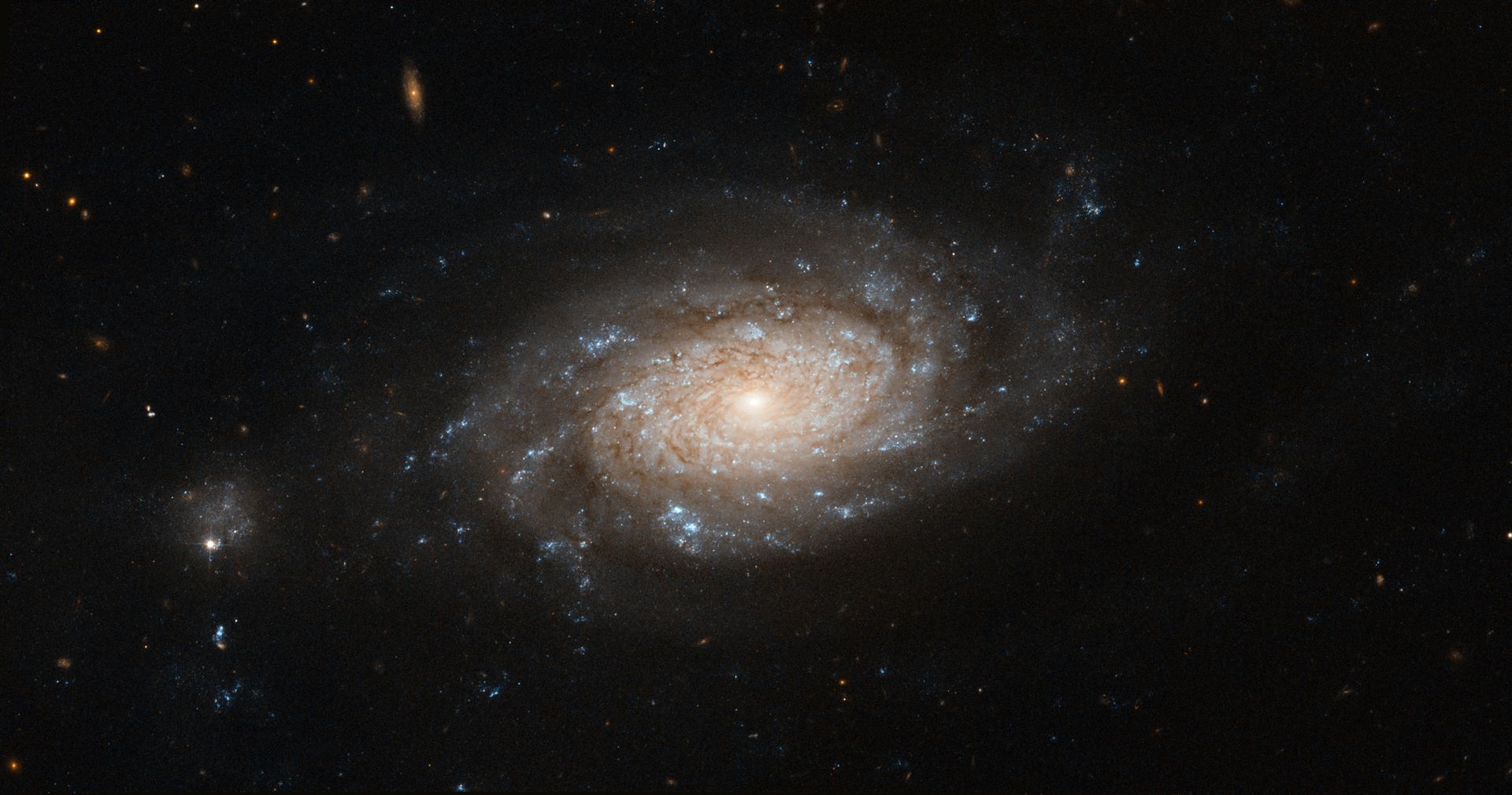 Hubble spots a busy barred spiral