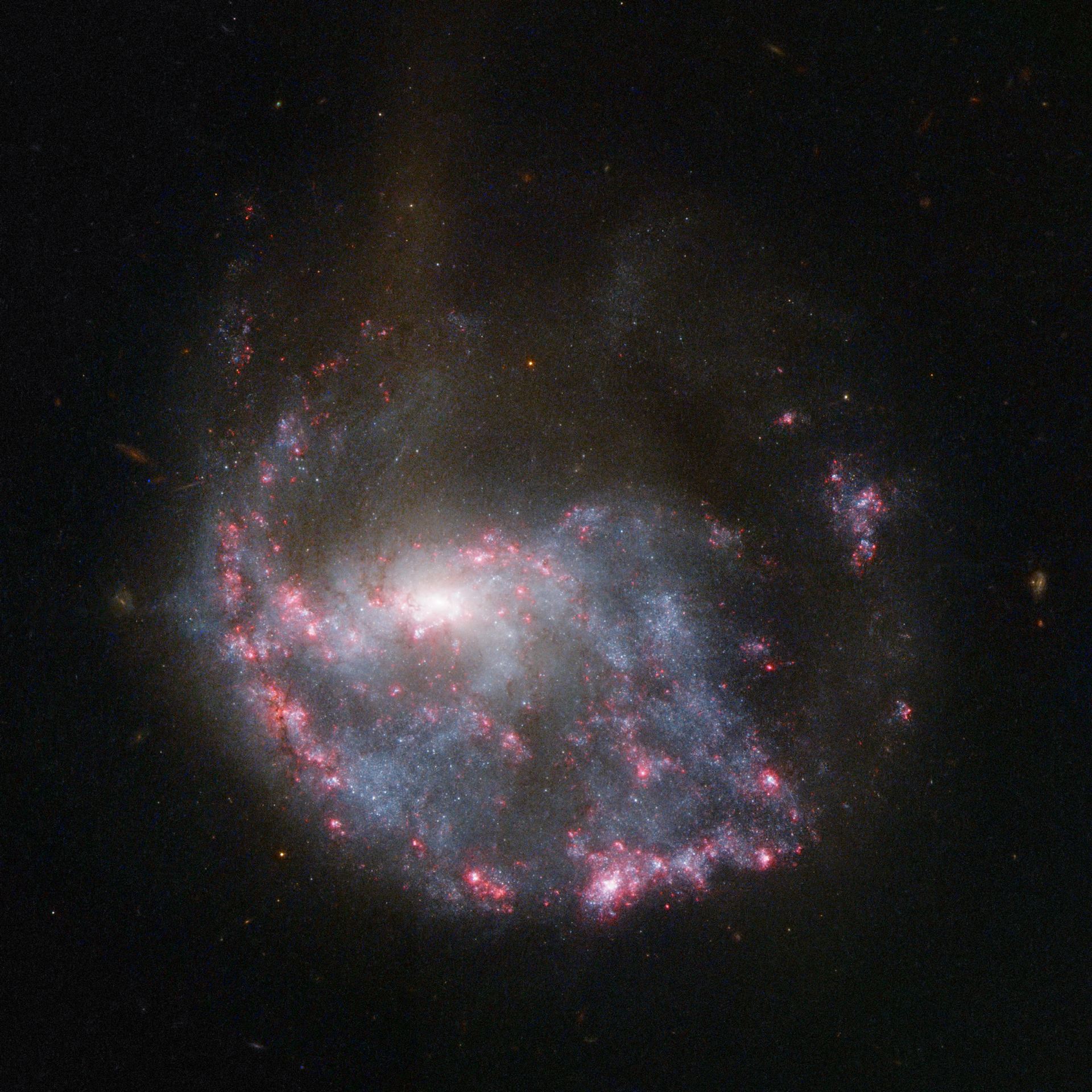 Hubble view of NGC 922