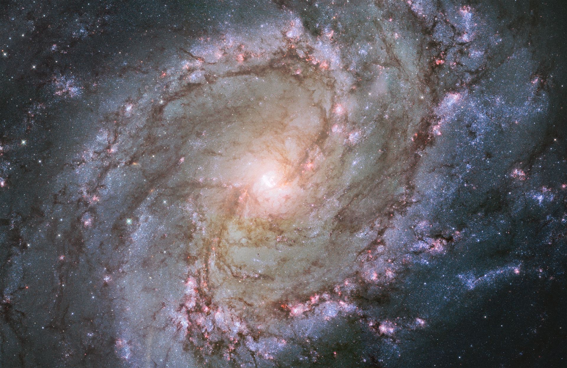 Hubble view of barred spiral galaxy Messier 83