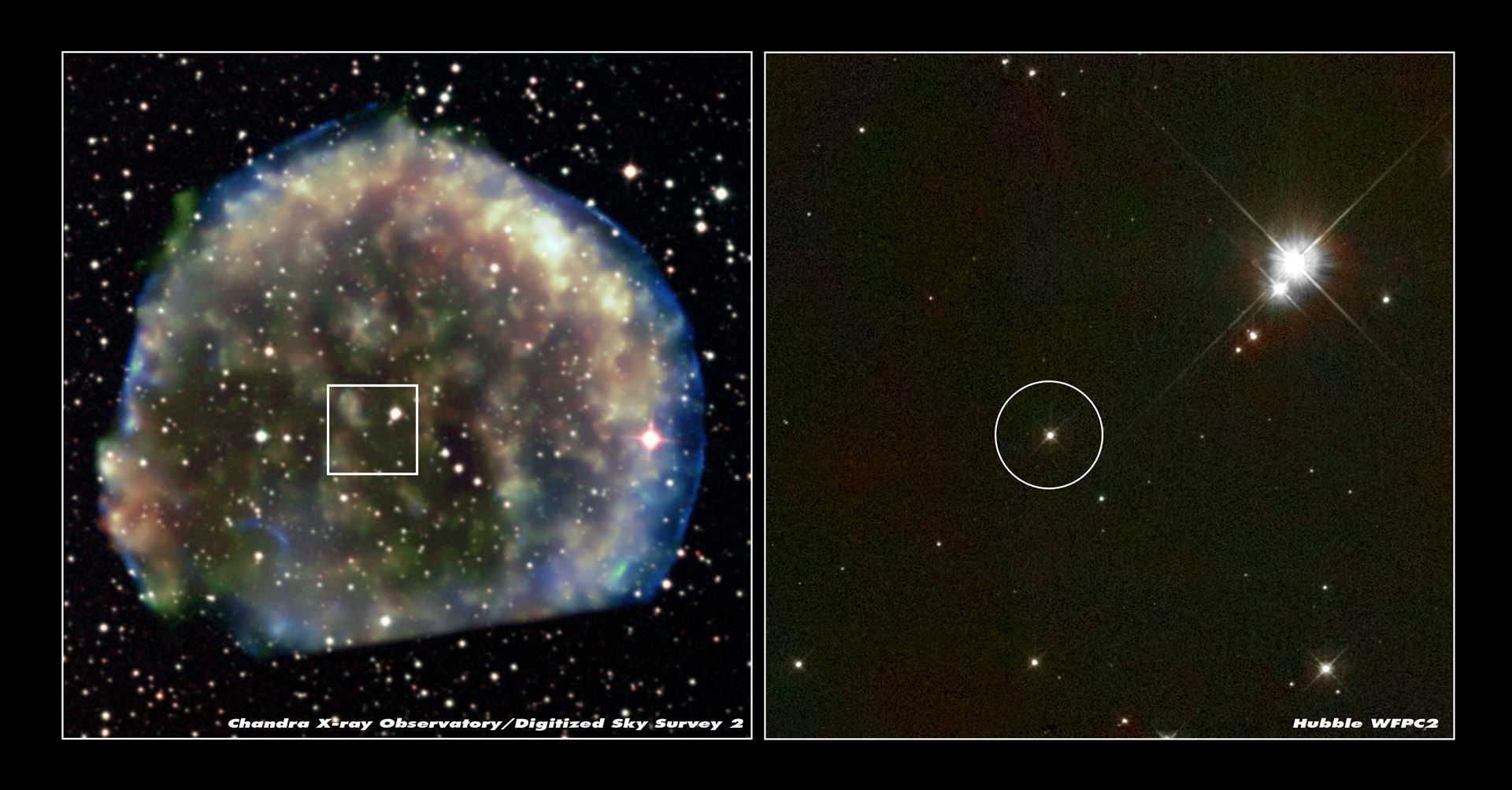 Hubble views suspected stellar survivor from 1572 A.D. supernova explosion