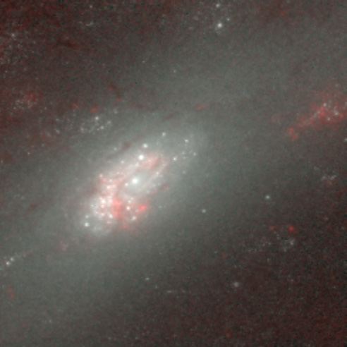 Hubble&rsquo;s Infrared Galaxy Gallery. A View of NGC 2903