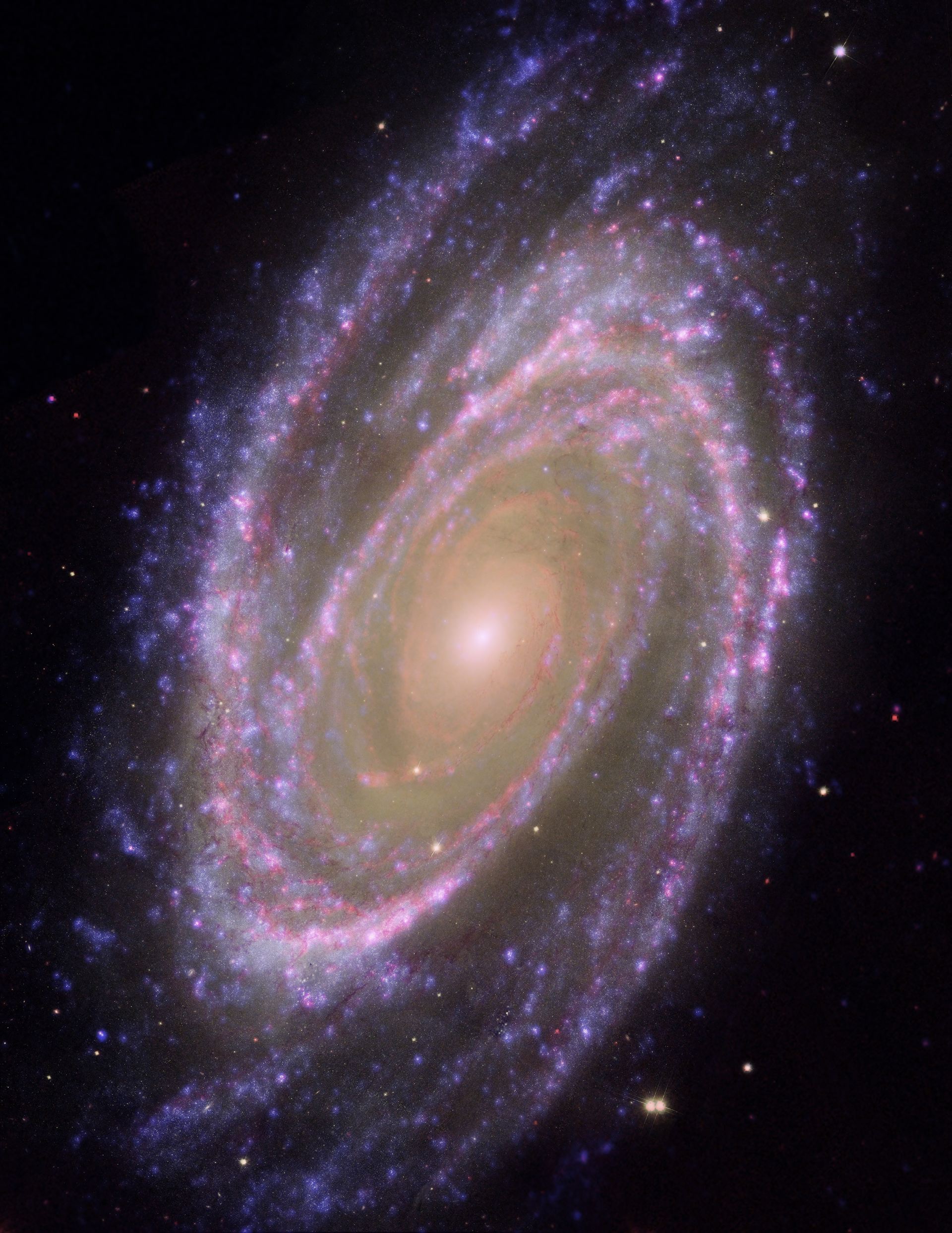 HubbleGALEXSpitzer Composite Image of M81