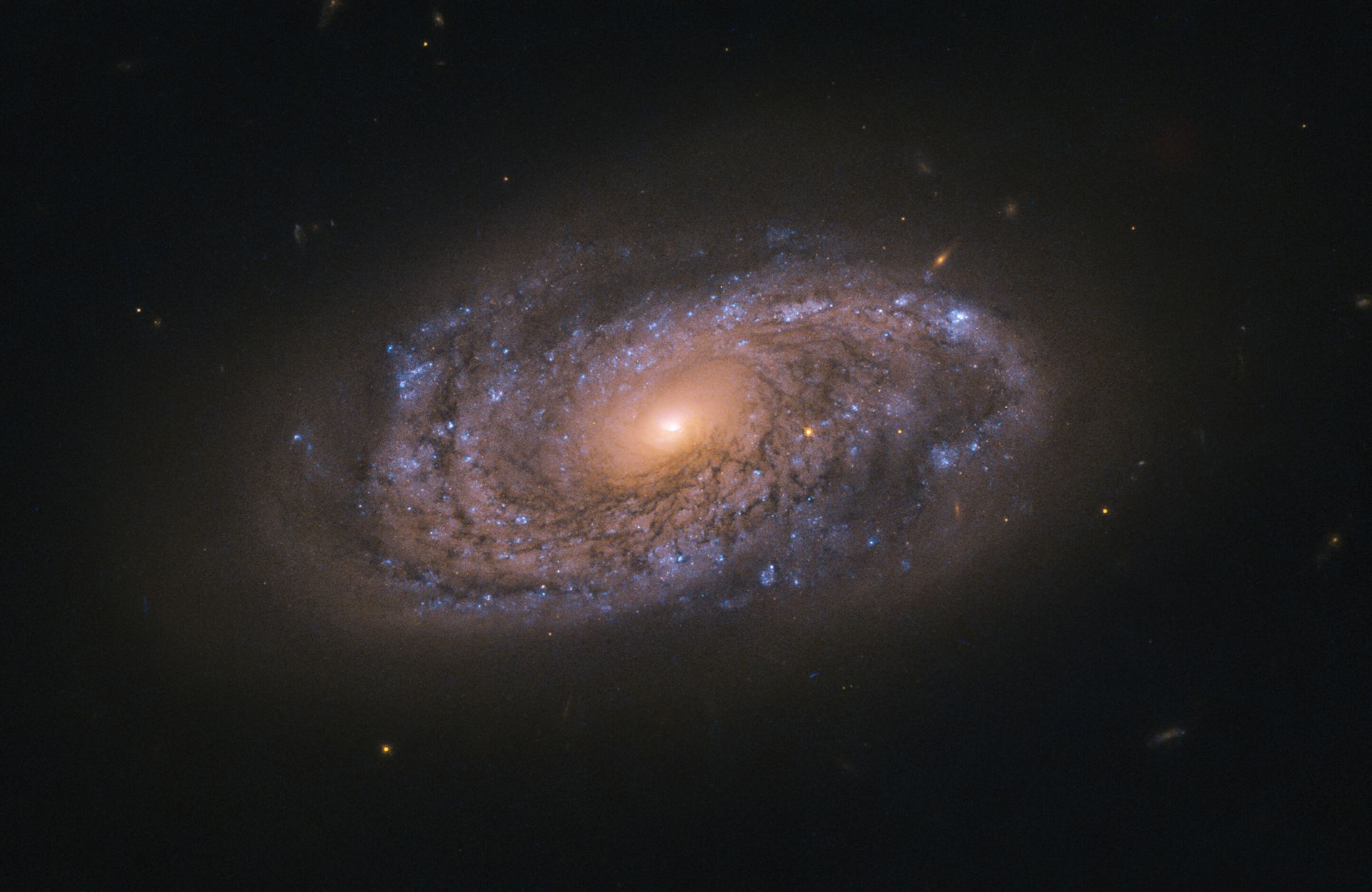 Hunting for Dead Stars