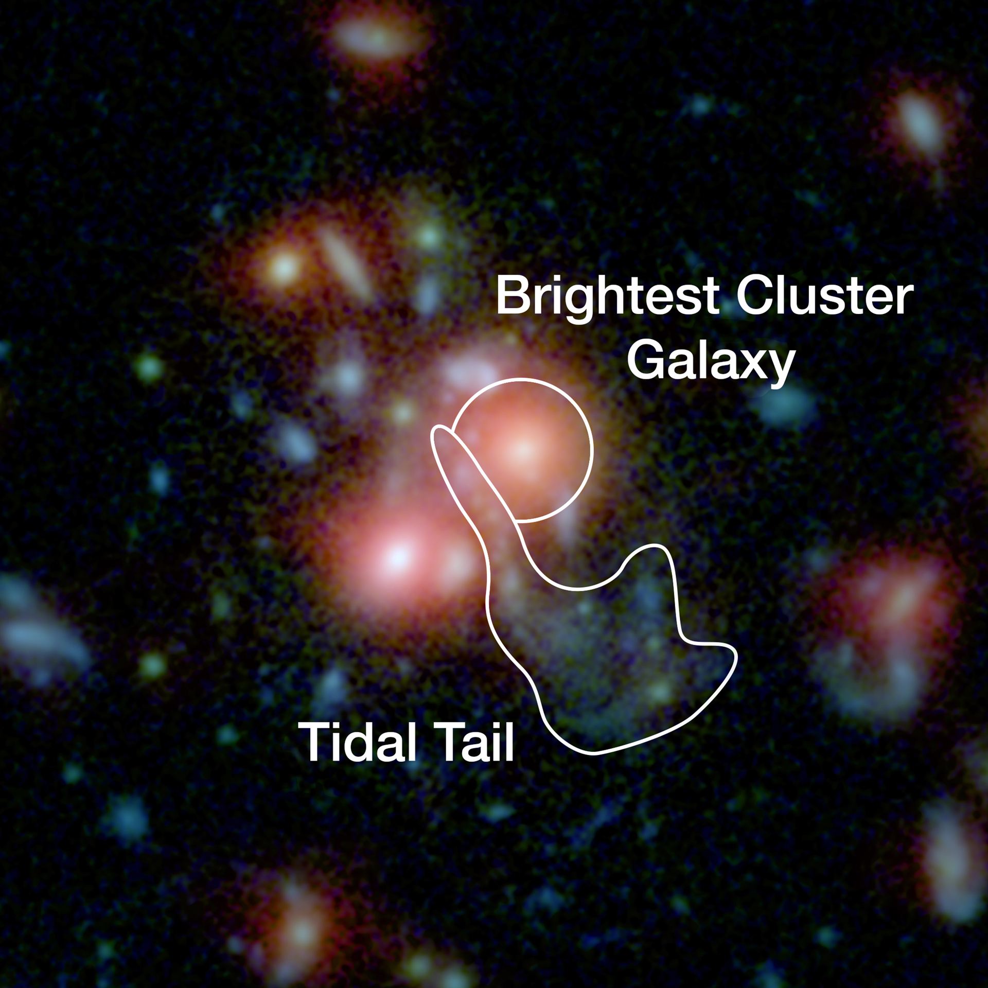 Image of the central region of SpARCS1049