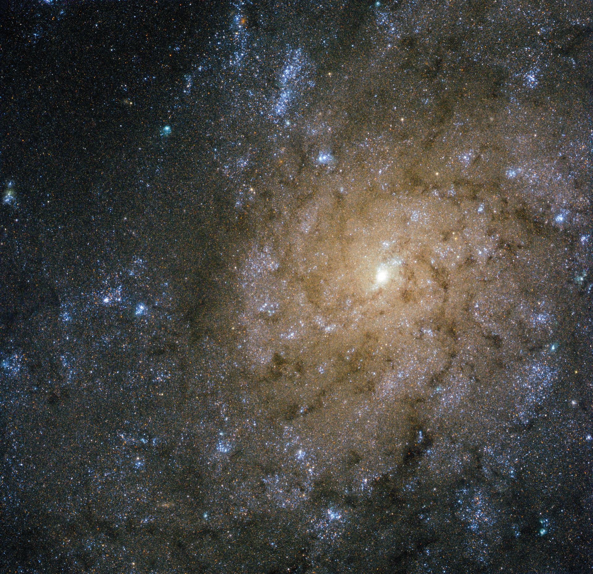 Jets and explosions in NGC 7793