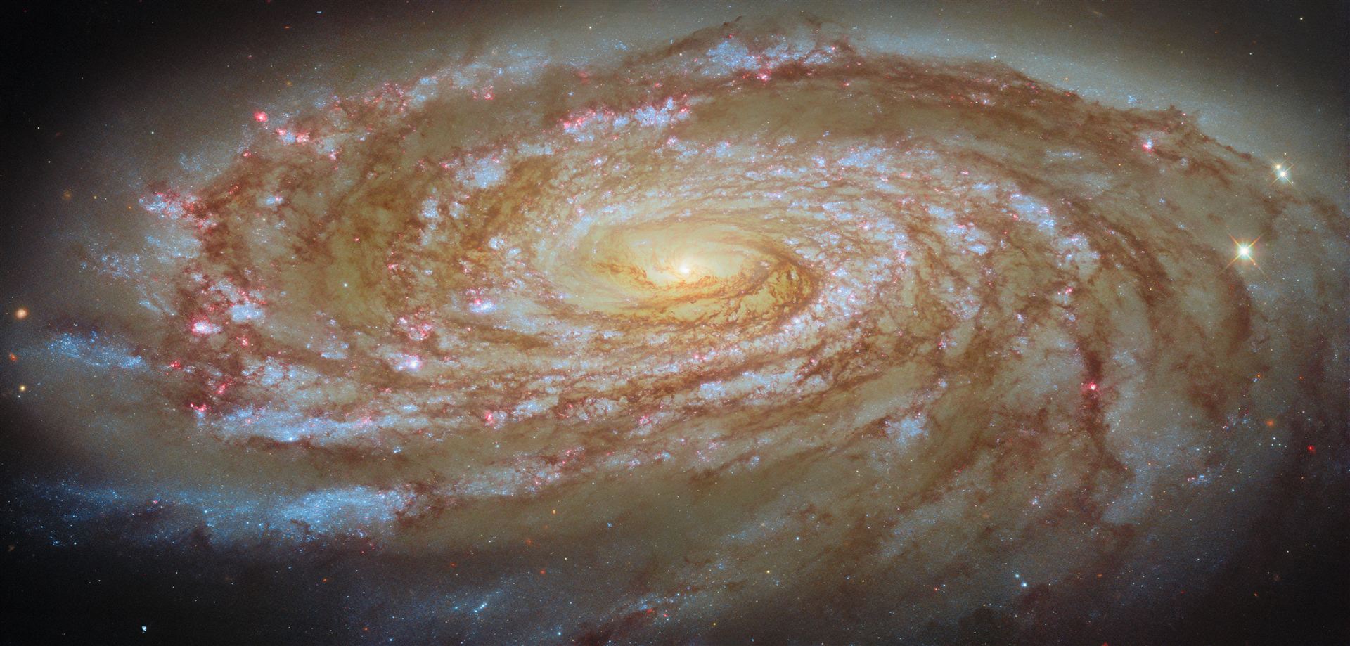 Journey to the centre of a galaxy cluster