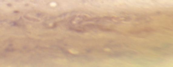 Jupiter 23 September 2009