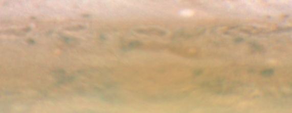 Jupiter 3 November 2009