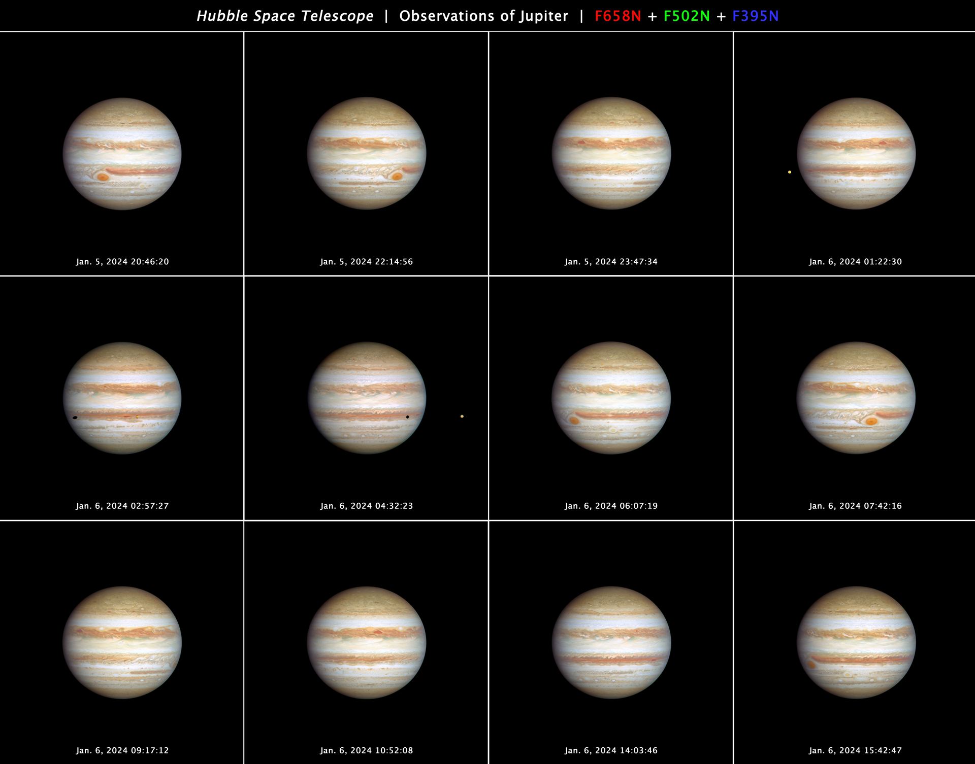 Jupiter OPAL observations (January 2024)