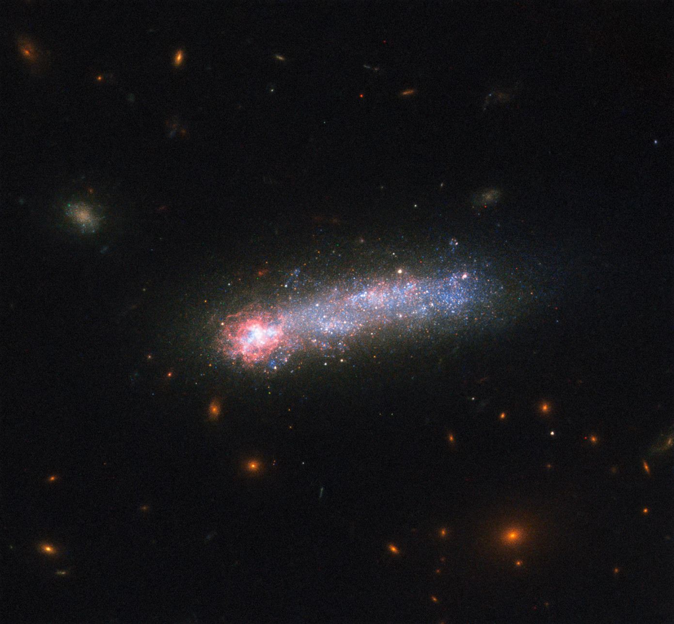 LEDA 36252, a cosmic tadpole