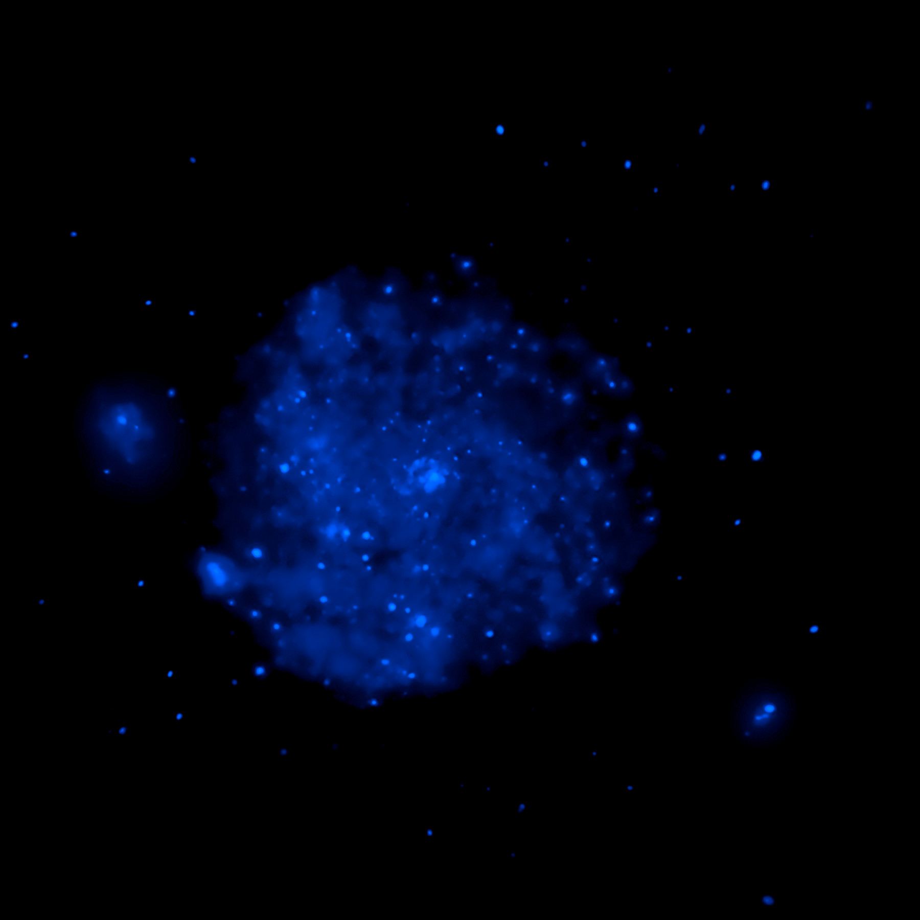 M101 composite image Chandra data (blue component)