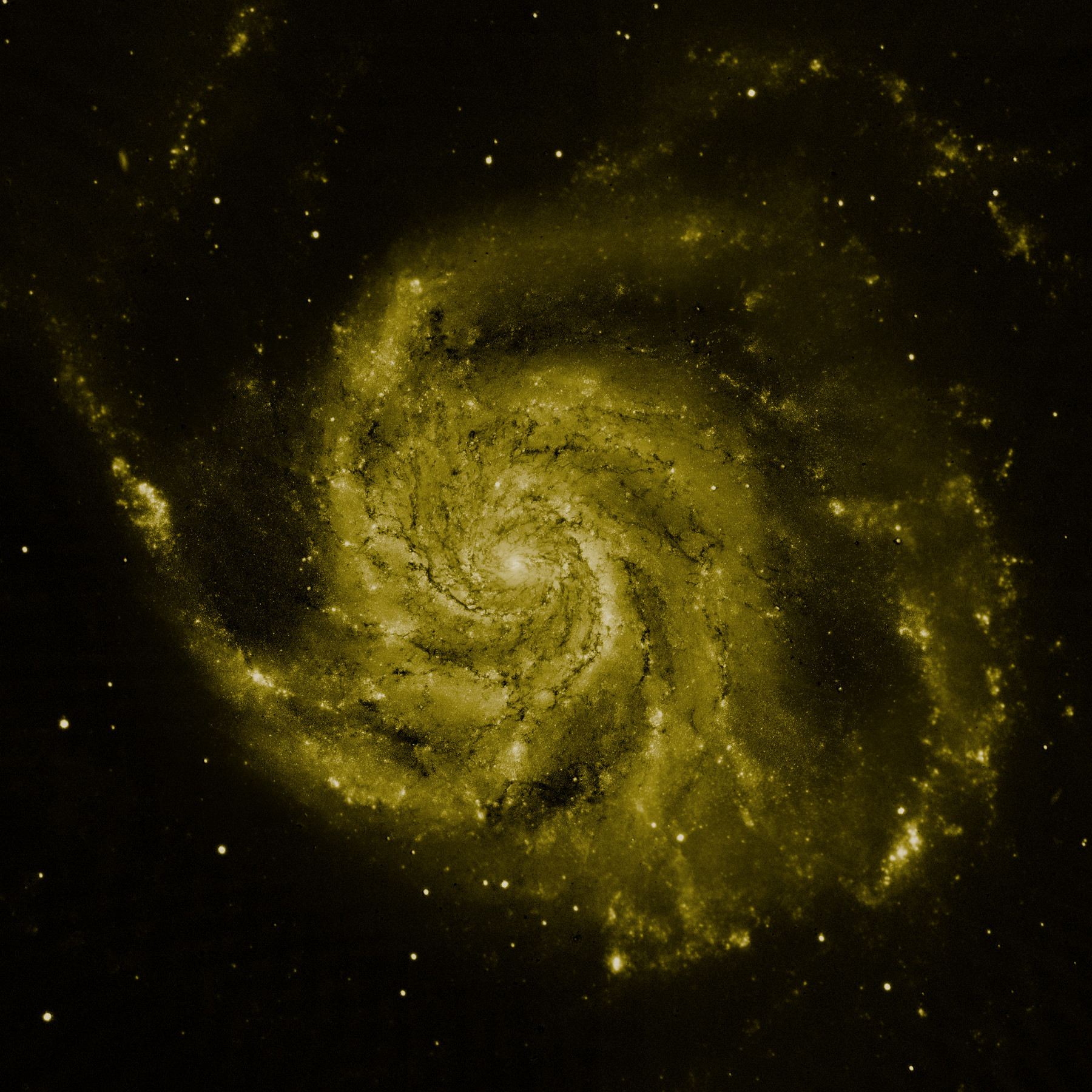 M101 composite image Hubble data (green component)