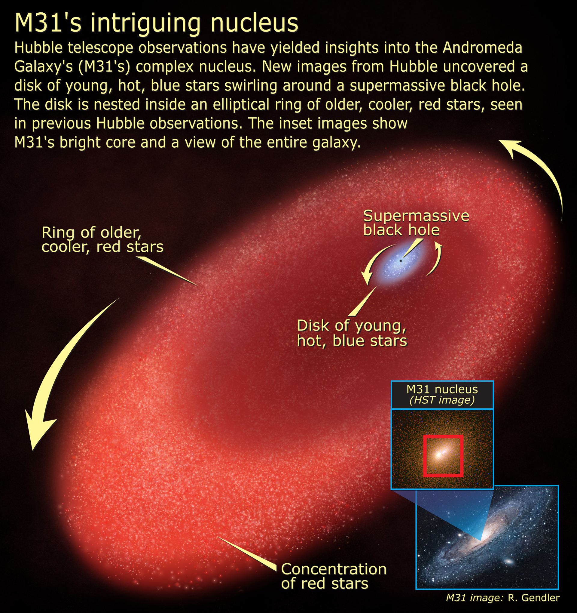 M31&rsquo;s intriguing nucleus