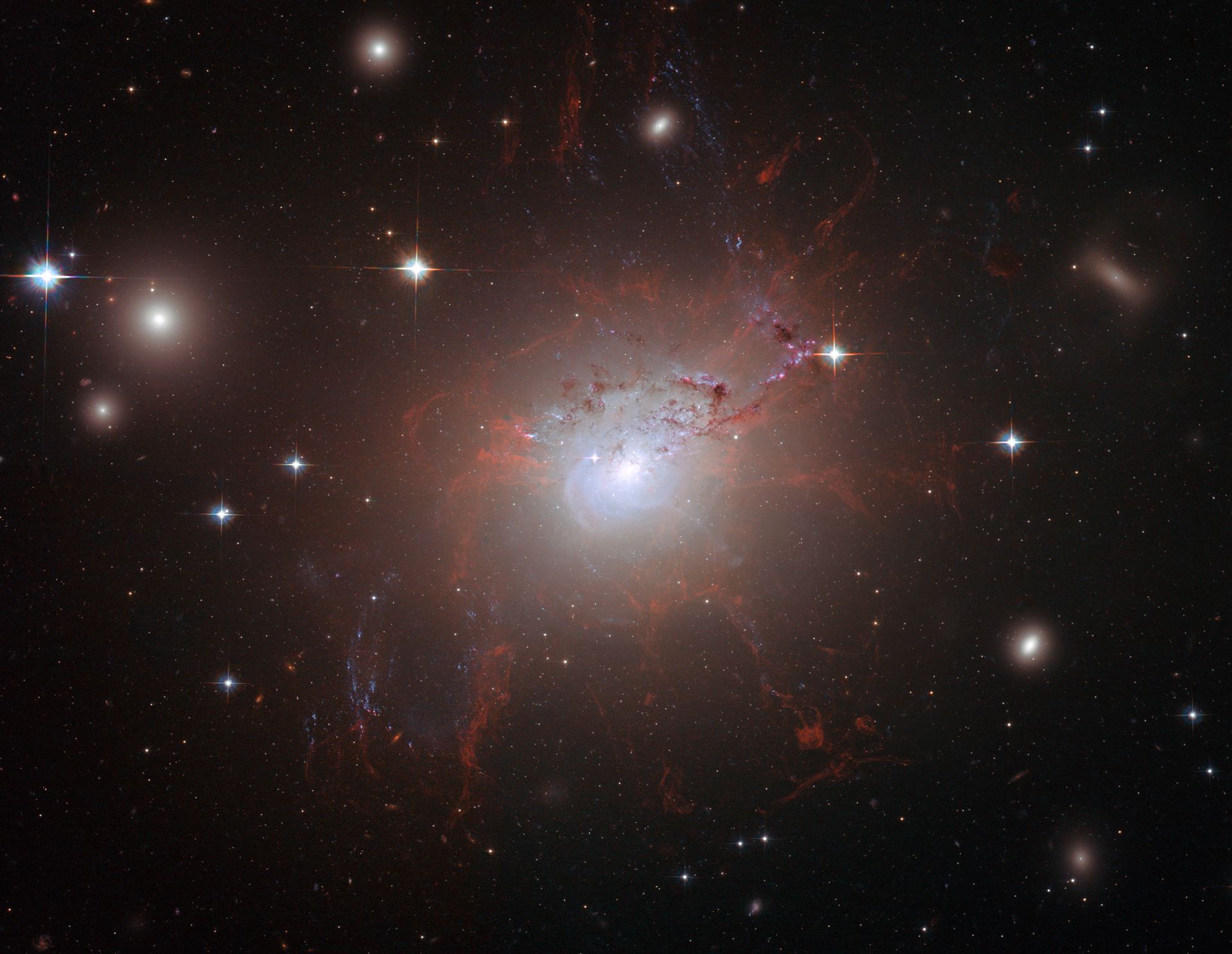 Magnetic monster NGC 1275