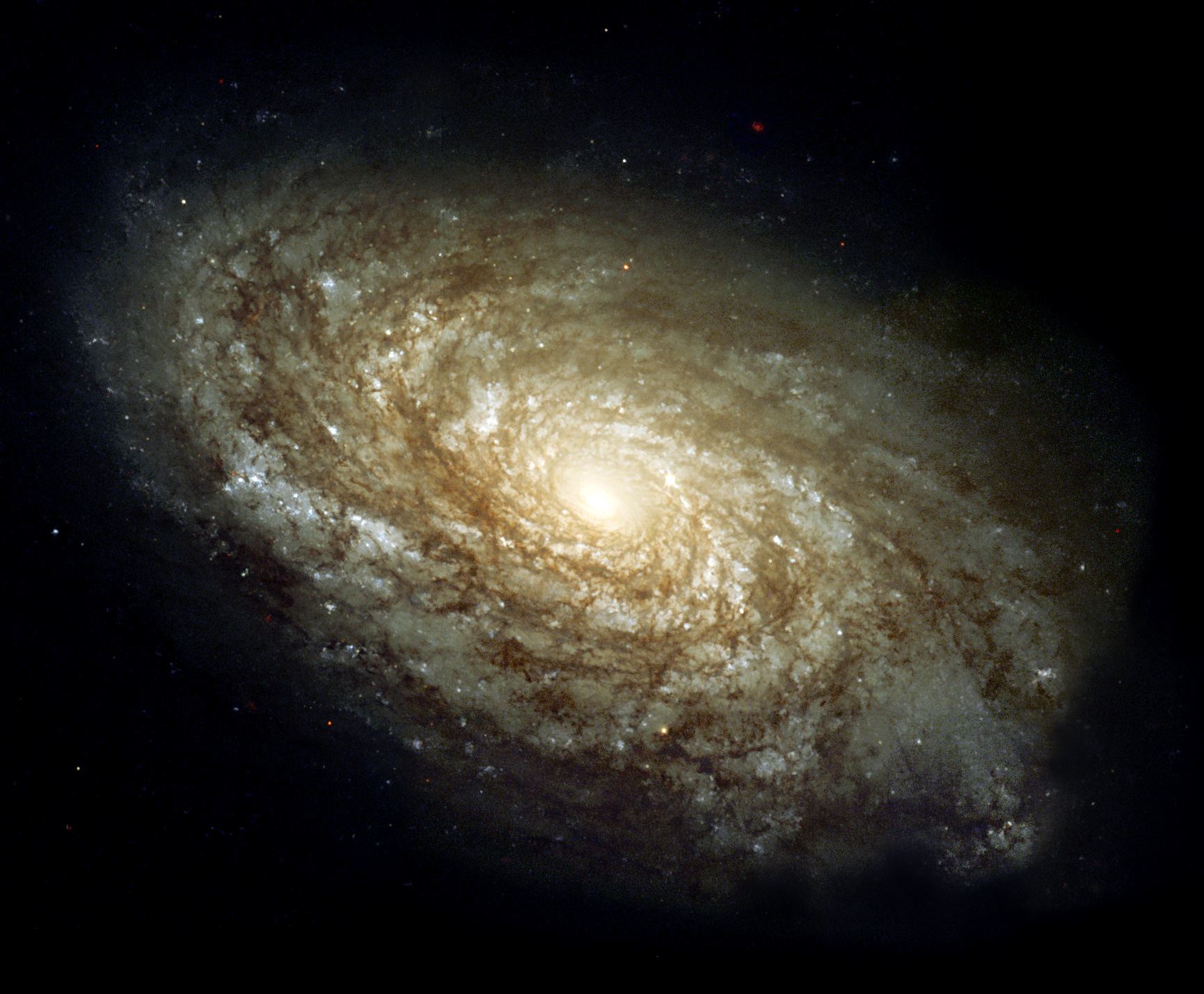 Magnificent details in a dusty spiral galaxy