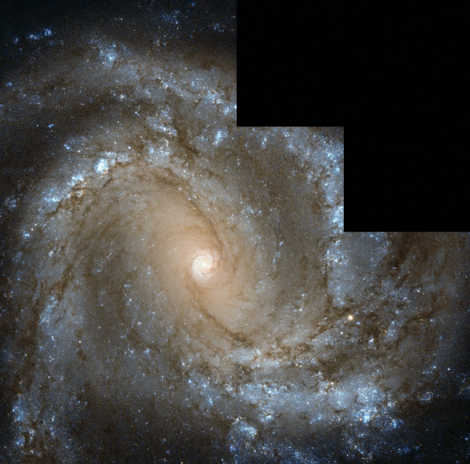 Messier 61 looks straight into the camera