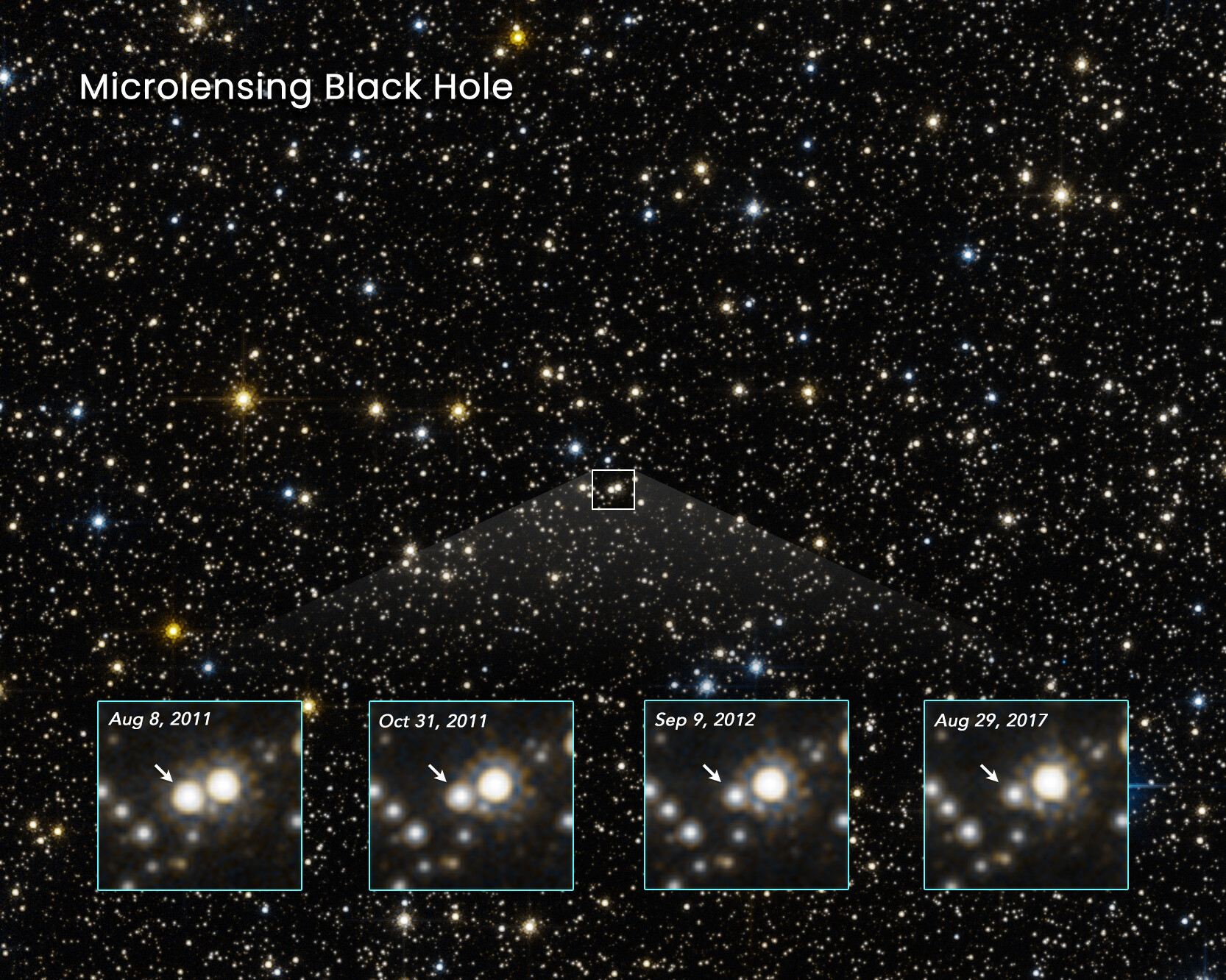 Microlensing Black Hole