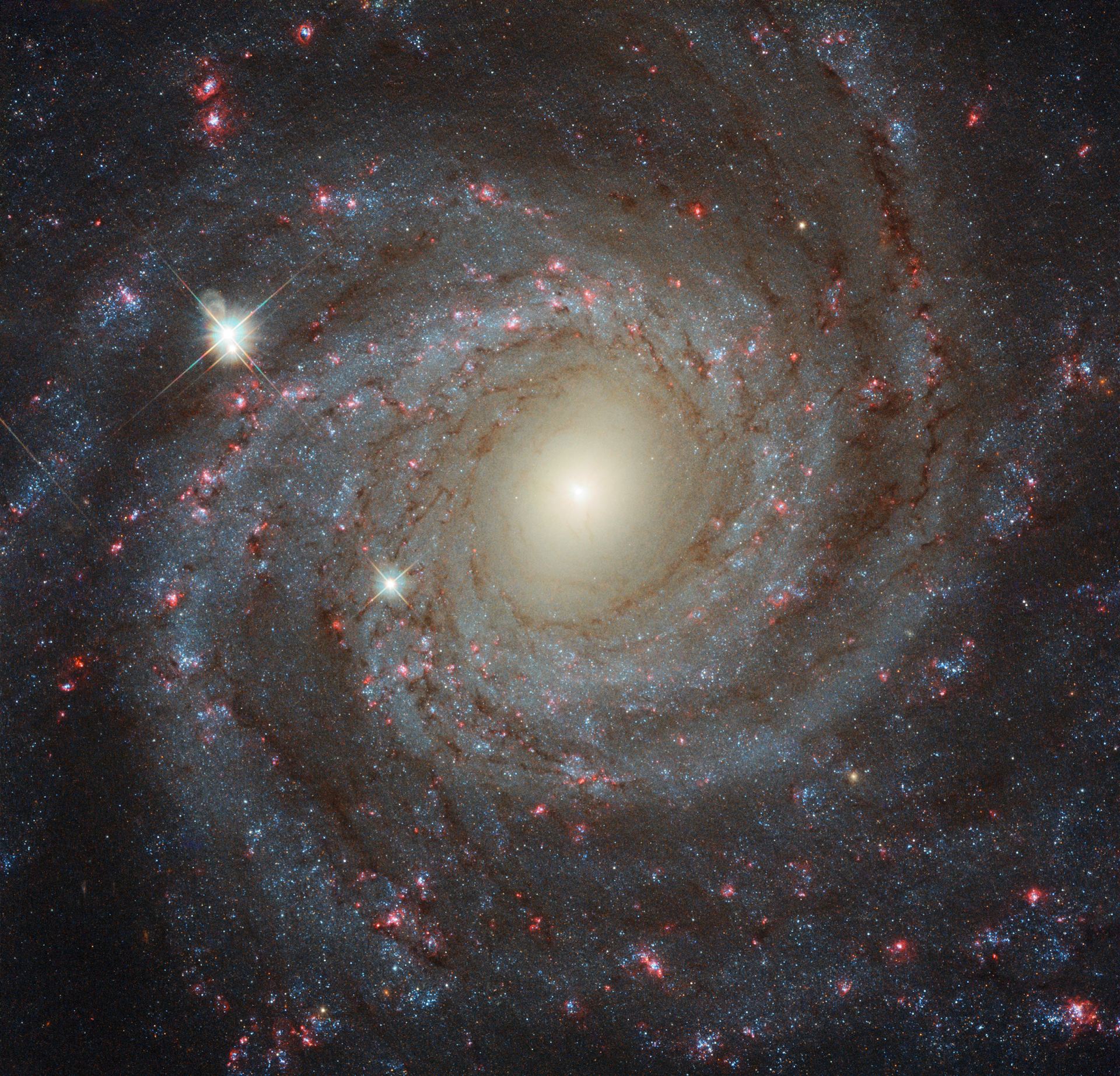 Multi-filter image of NGC 3344
