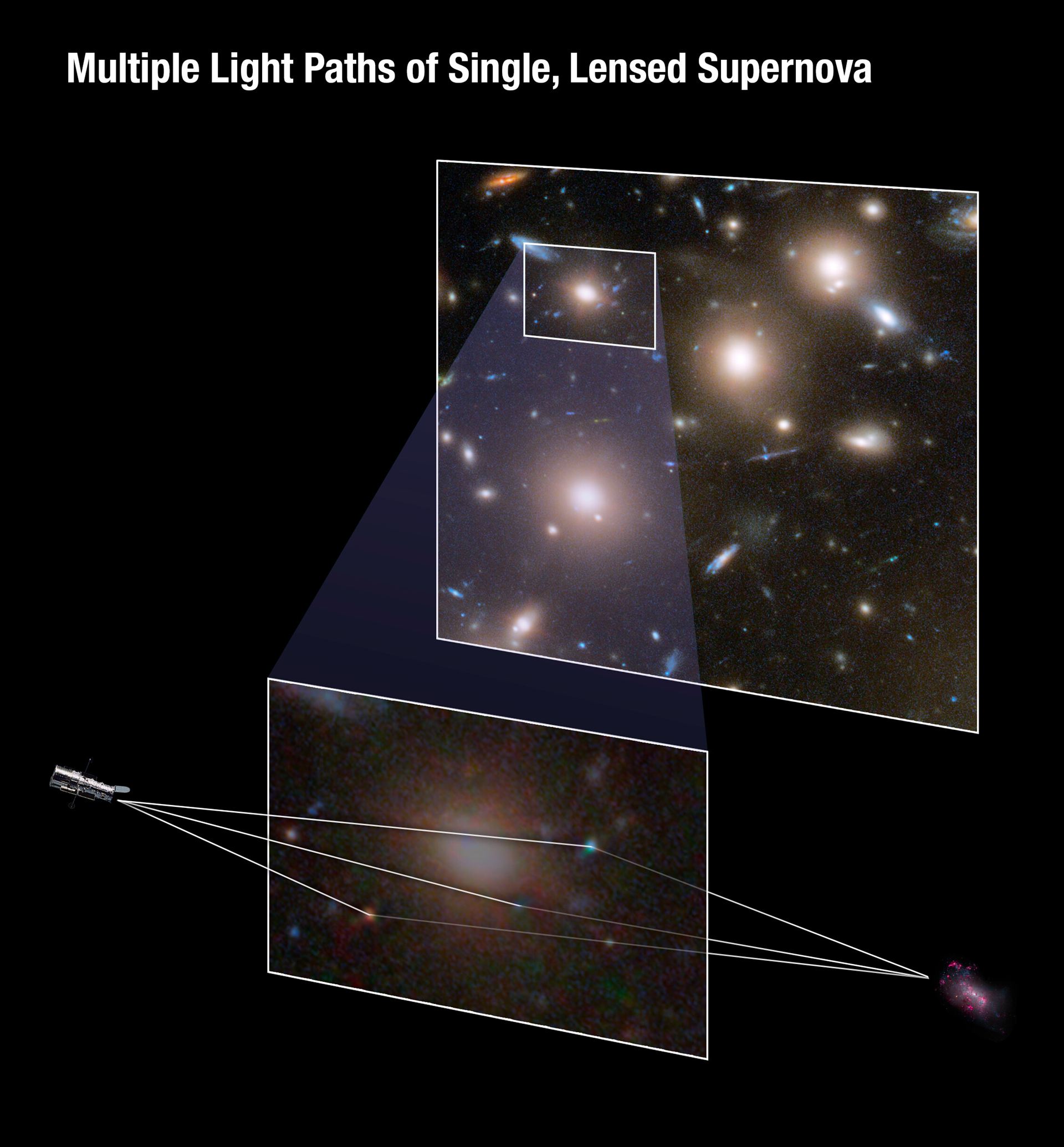 Multiple Light Paths of Single, Lensed Supernova
