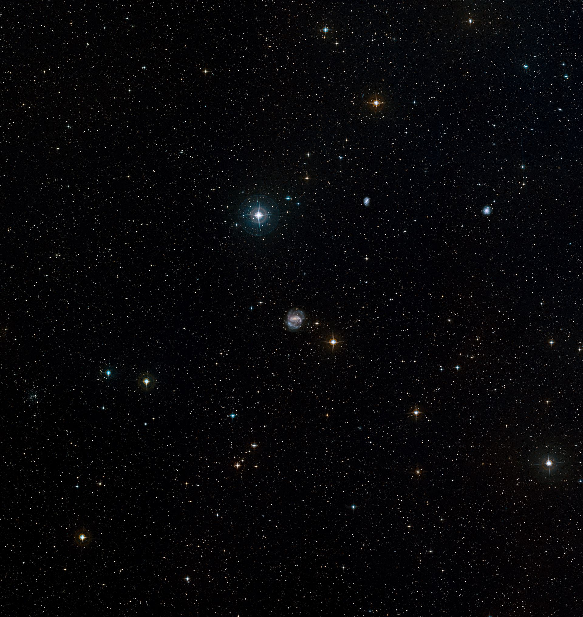 NGC 1672 in Dorado (ground-based image)