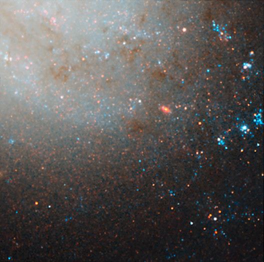 NGC 3021 NICMOSACS detail 2
