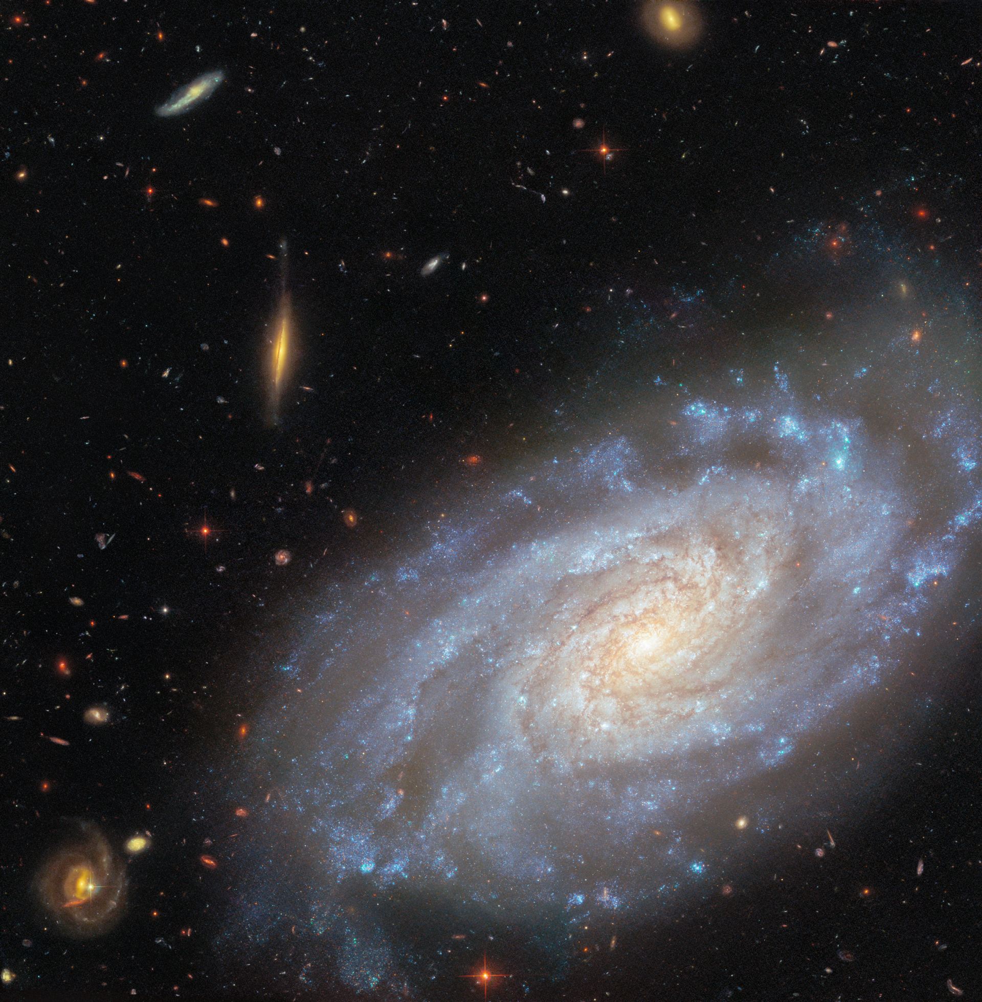 NGC 3370 (wide view)