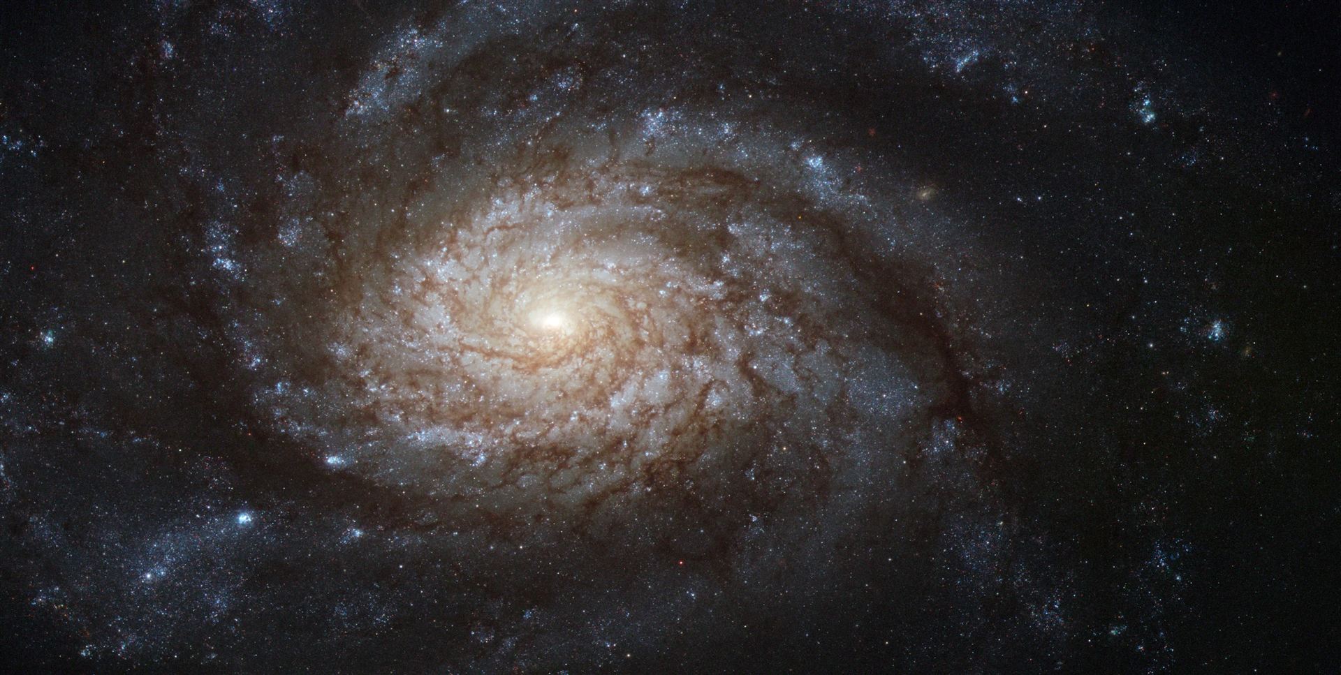 NGC 3810 A picture-perfect spiral