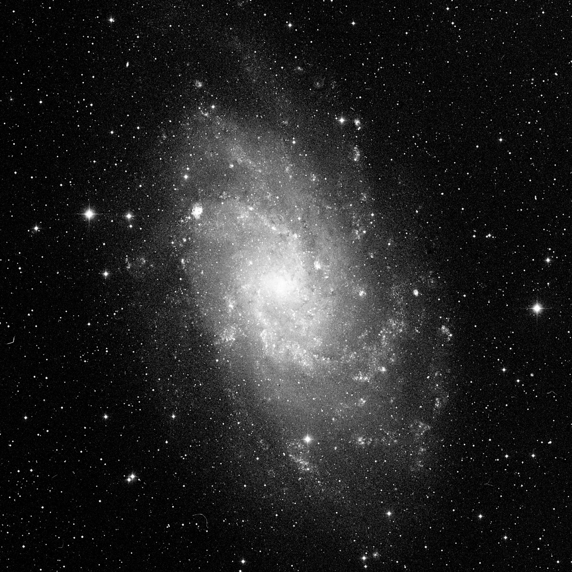 NGC 604 in Galaxy M33 (ground-based image)