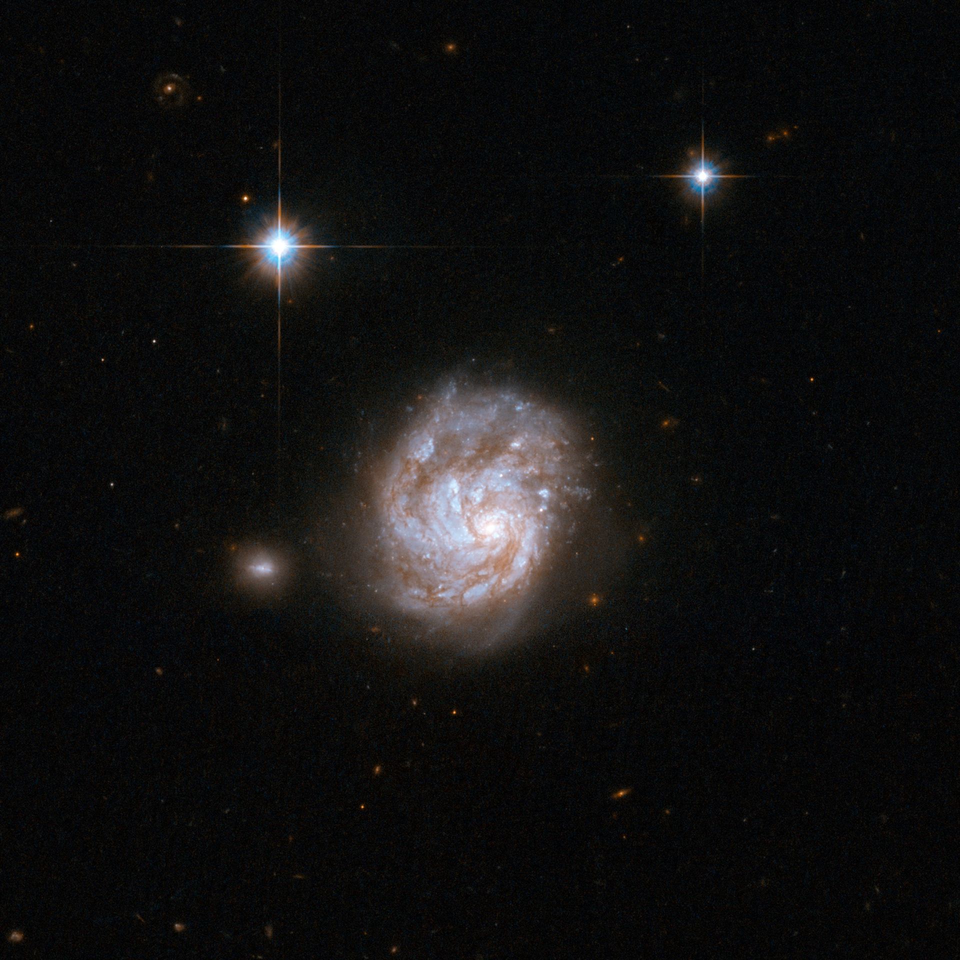 NGC 695
