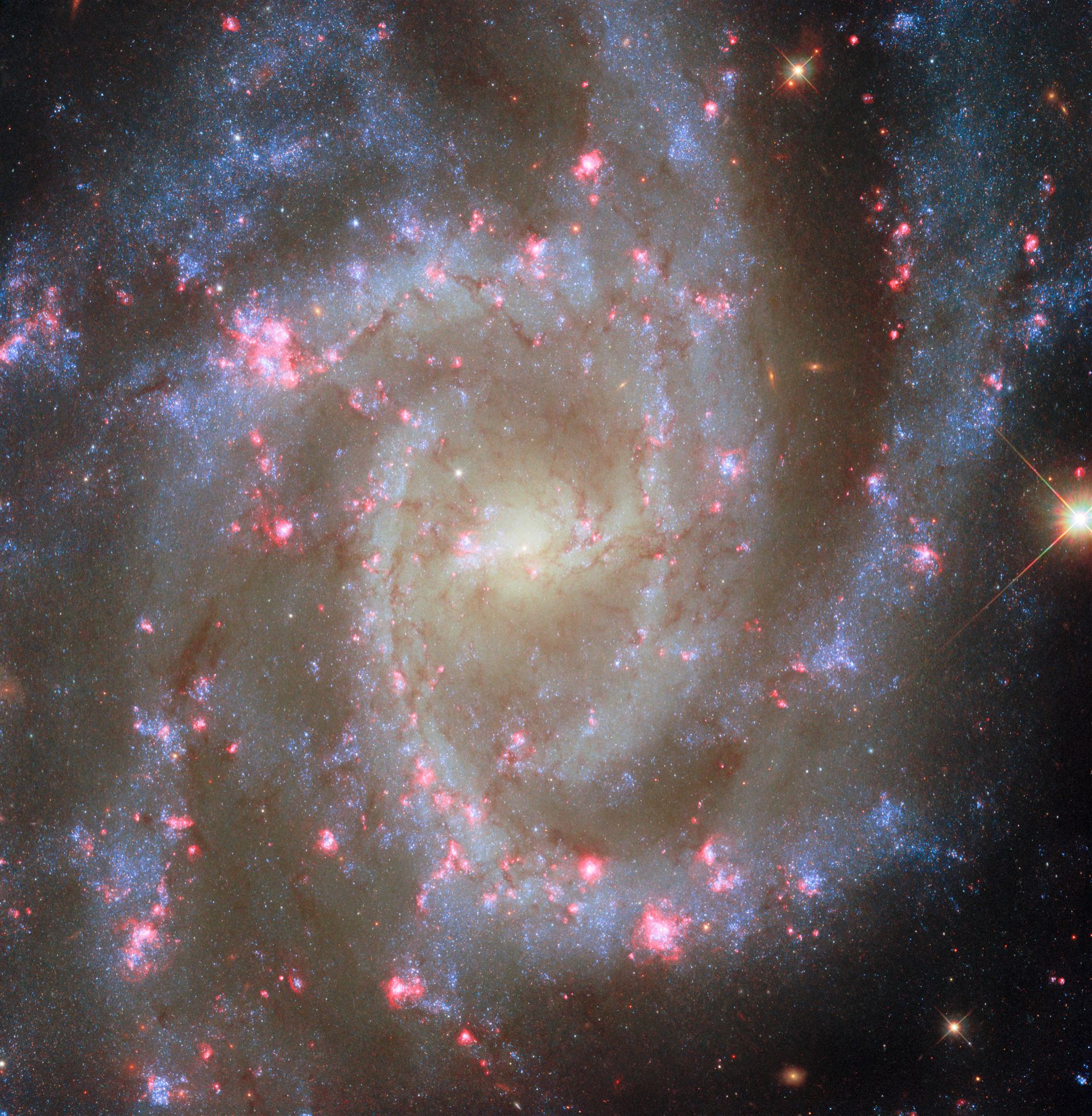 Noteworthy nearby spiral