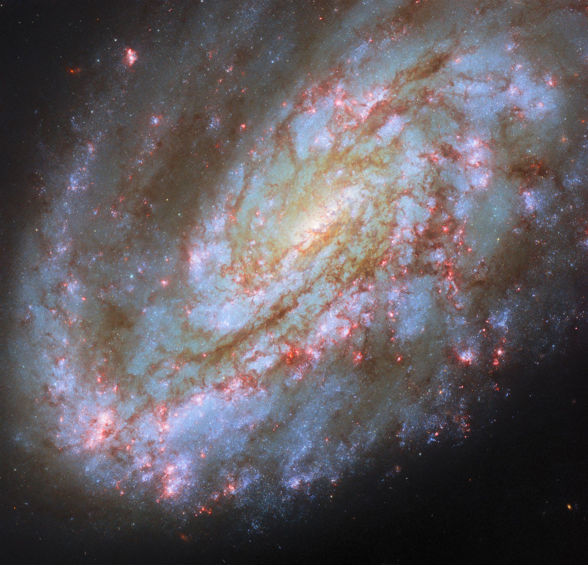 One-sided spiral