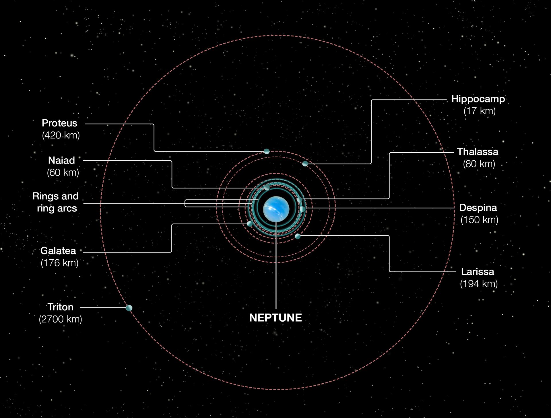 Orbits of Neptune’s inner moons