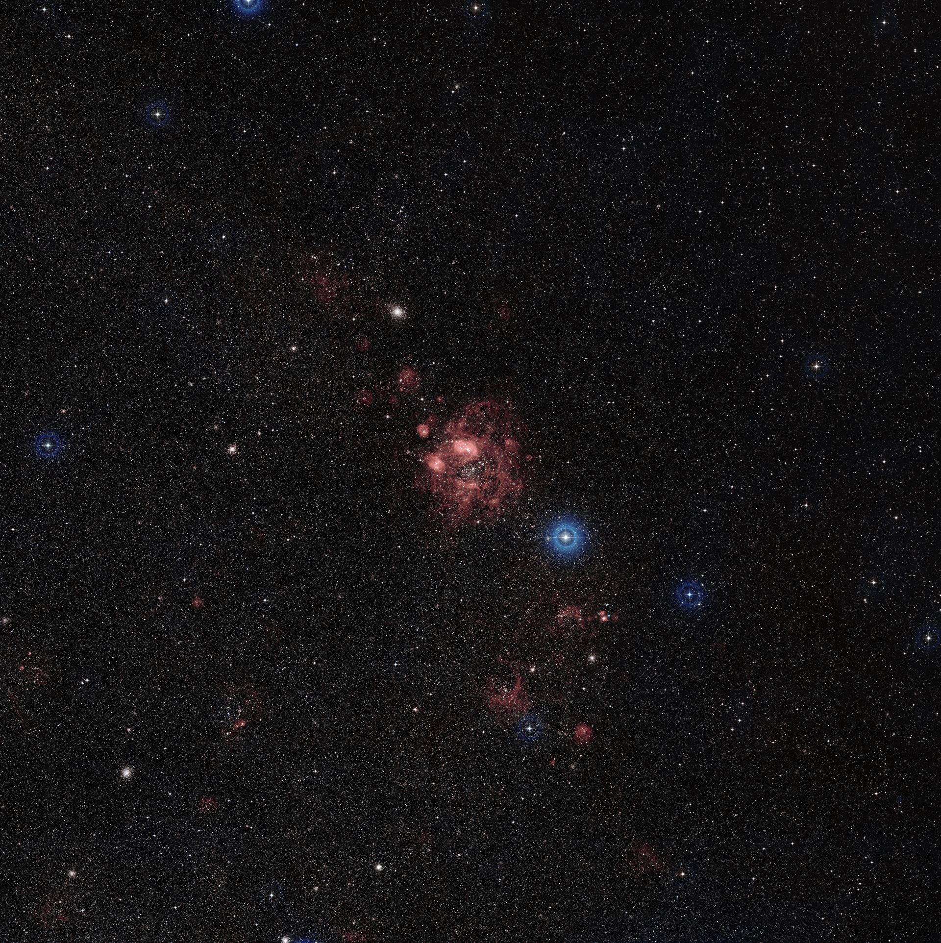 Overview of the Large Magellanic Cloud (ground-based image)
