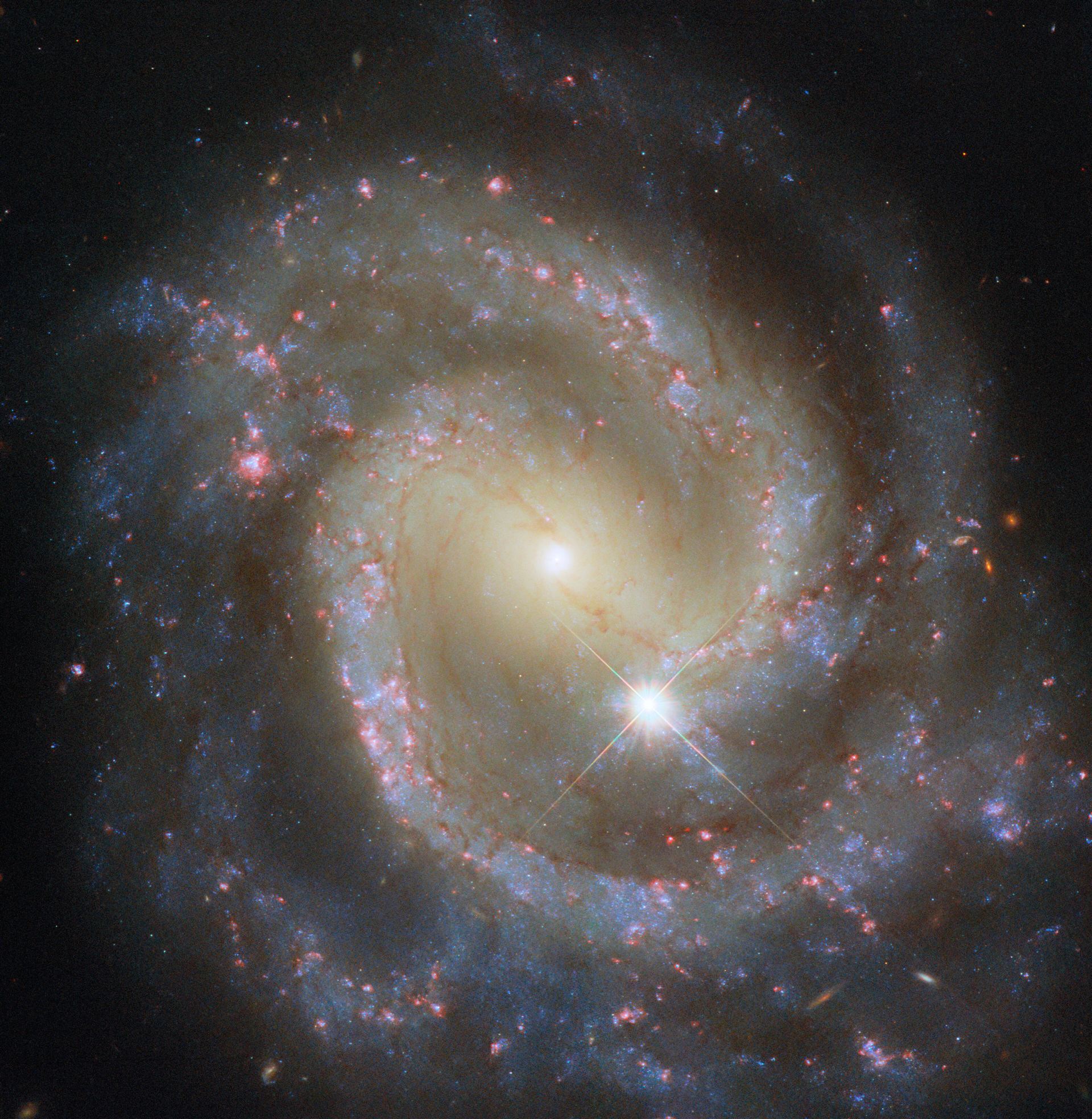 Paired pinwheel seen solo