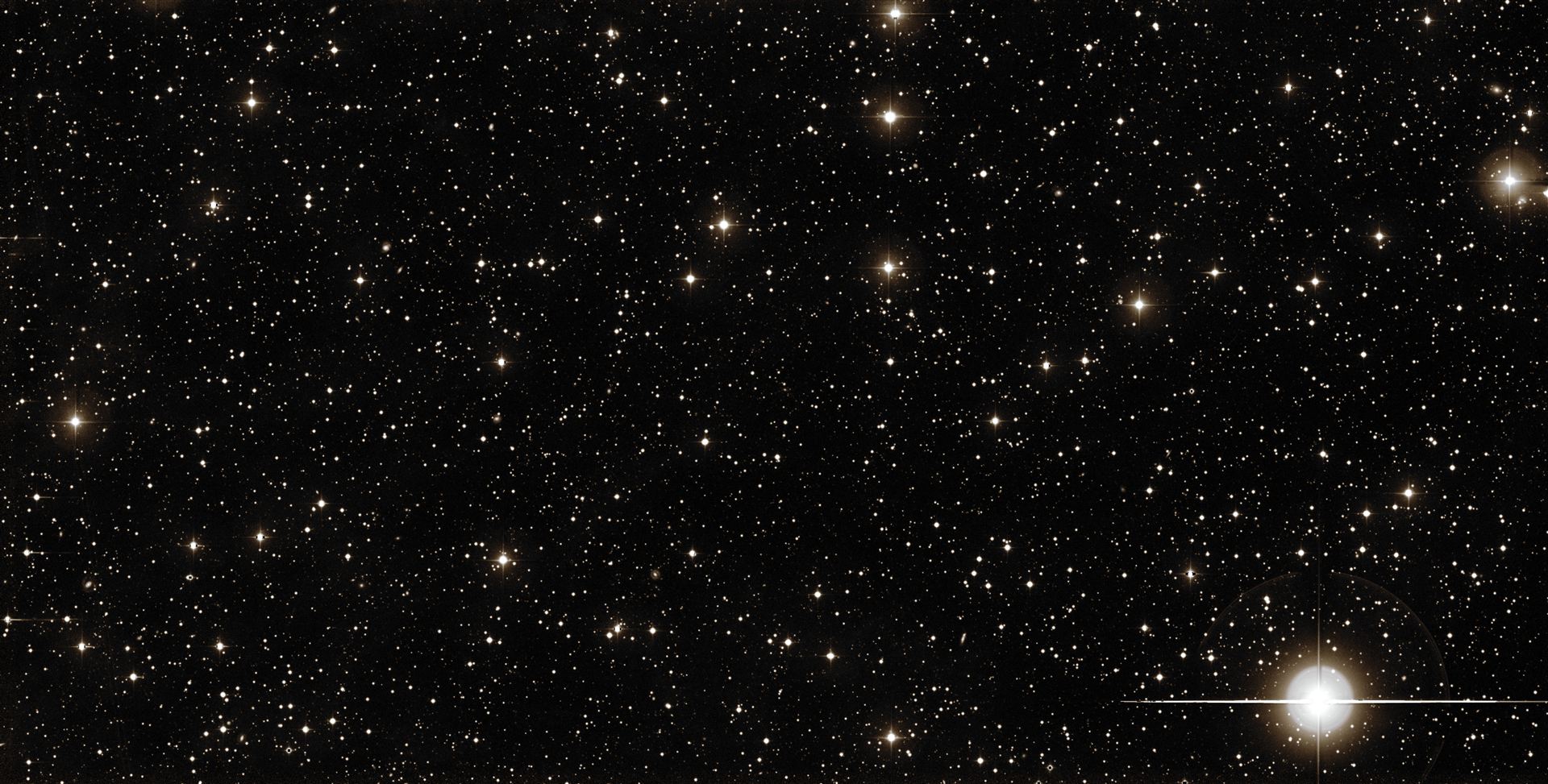 Palomar’s view on iPTF16geu