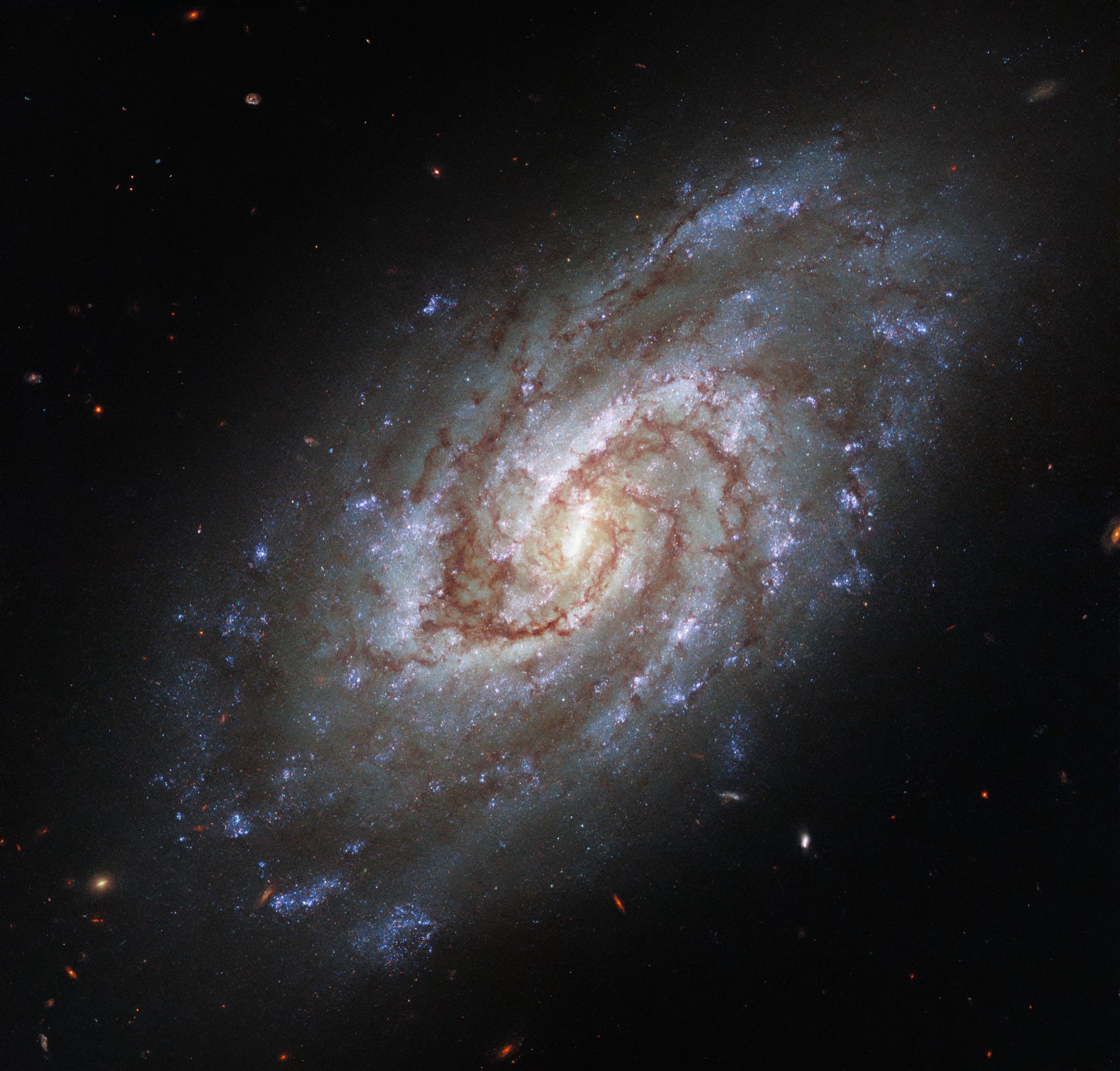 Portrait of a Swirling Galaxy